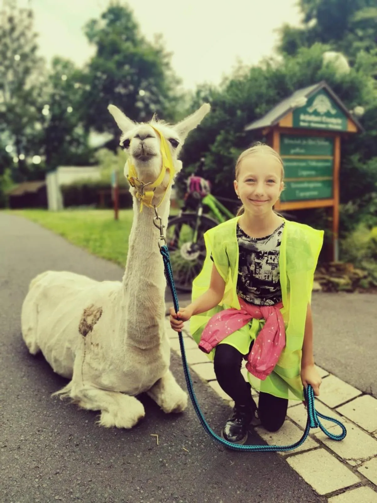 Animals in Landschloss Ernestgrün