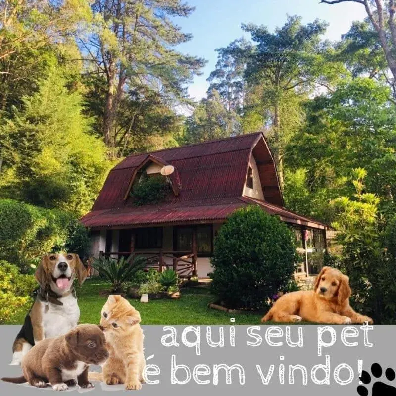 Casa na Floresta em Campos do Jordao Casa na Floresta em Campos do Jordao