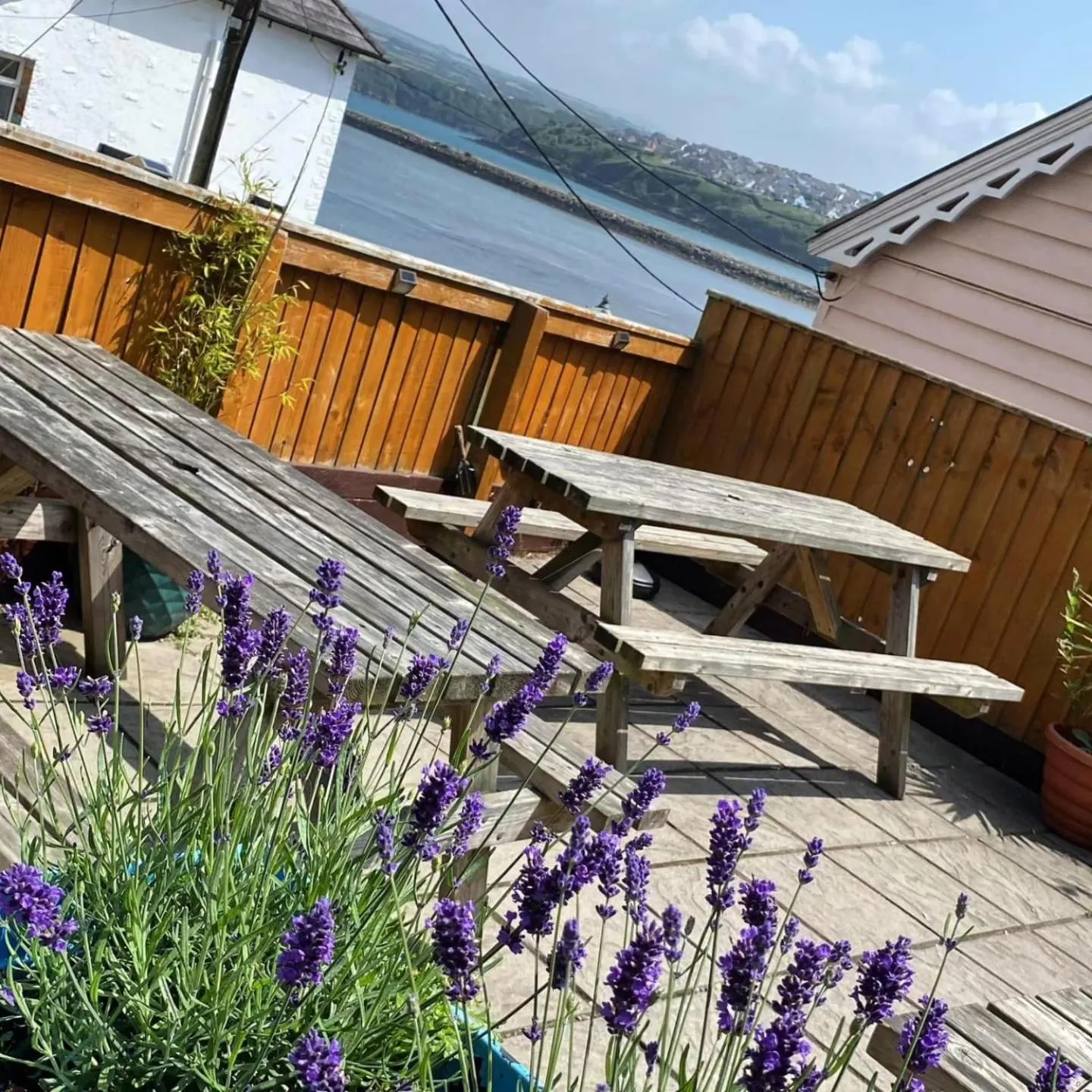 Garden in Rose and Crown Hotel & Hope and Anchor Bar