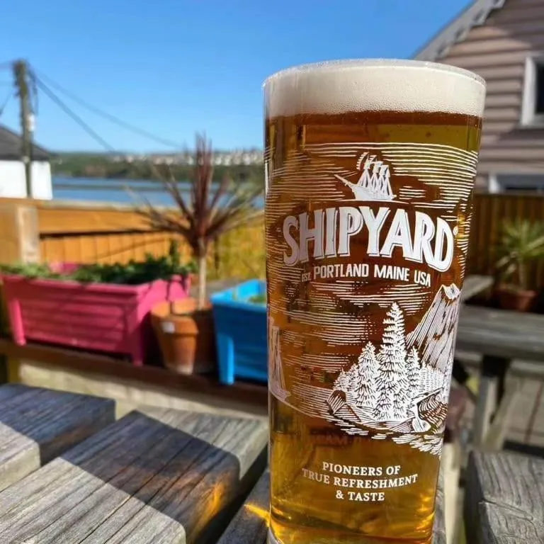 Lounge or bar in Rose and Crown Hotel & Hope and Anchor Bar