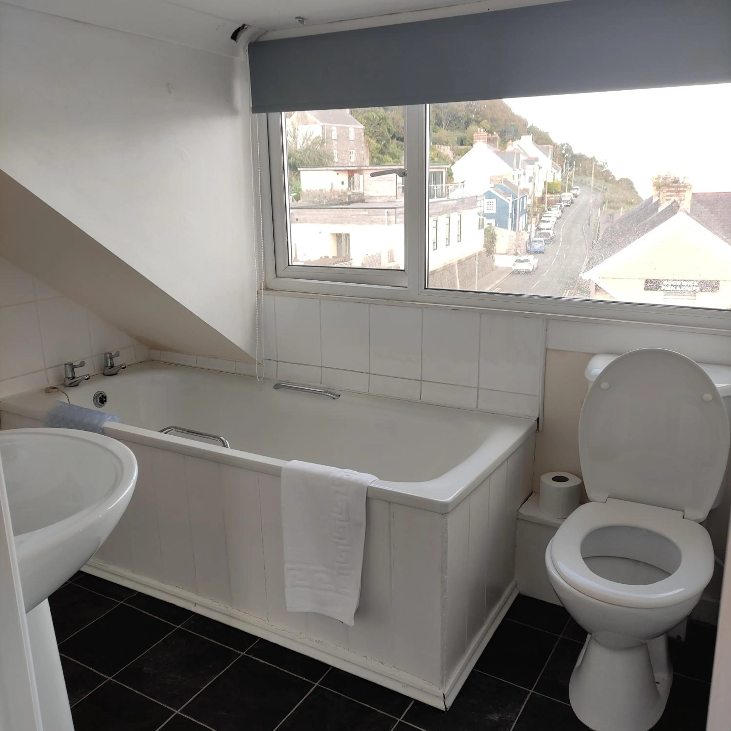 Toilet in Rose and Crown Hotel & Hope and Anchor Bar