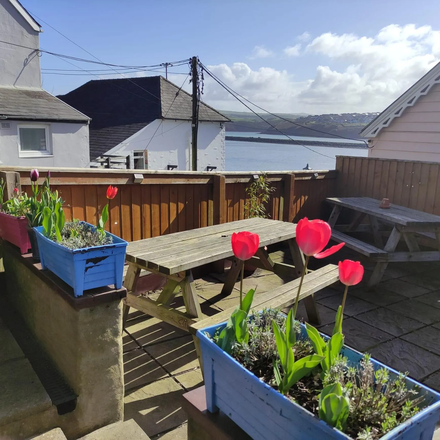 Garden in Rose and Crown Hotel & Hope and Anchor Bar