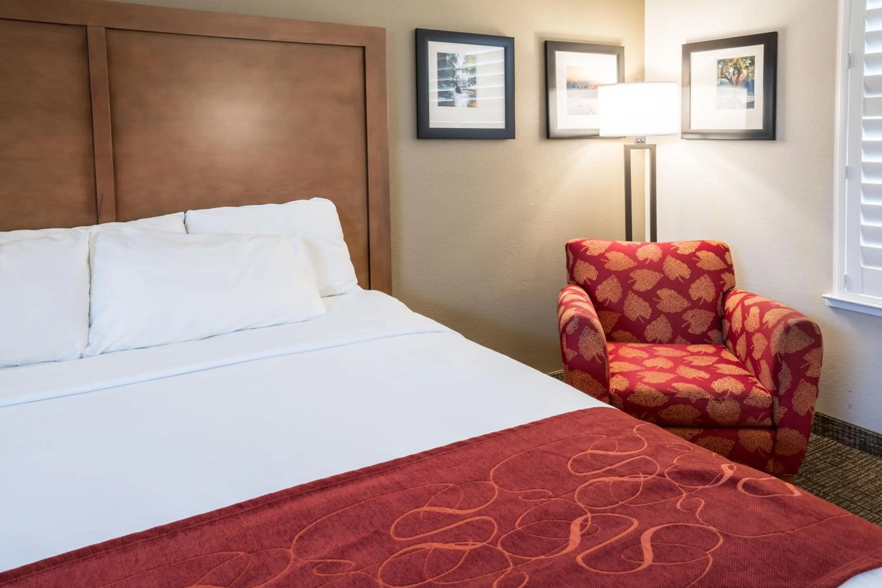 Bedroom, Bed in Comfort Suites Fresno River Park