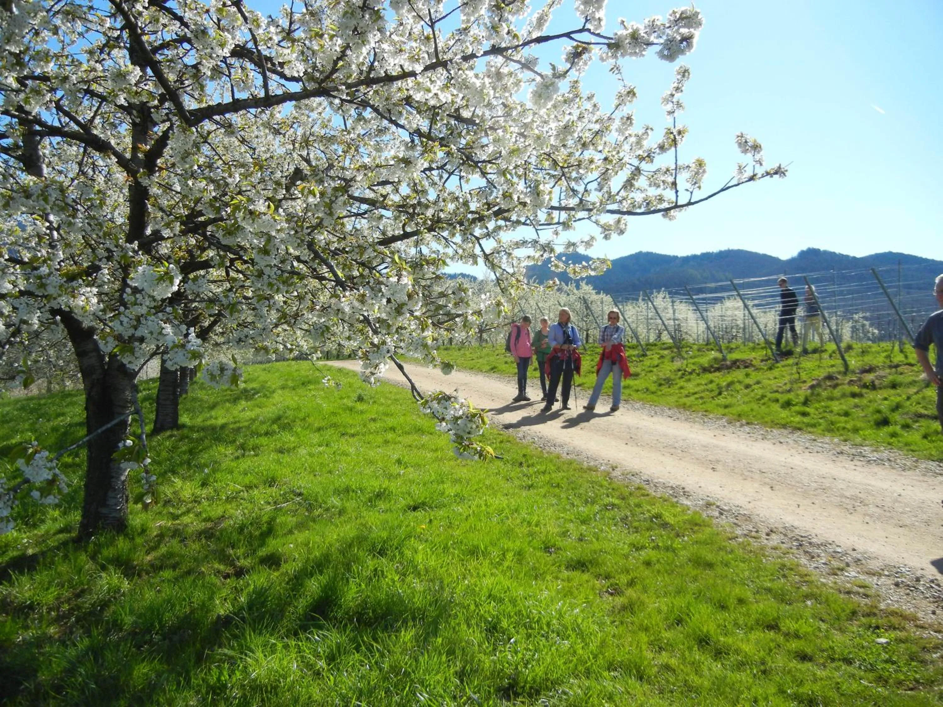 Area and facilities in Haus am Blauenbach