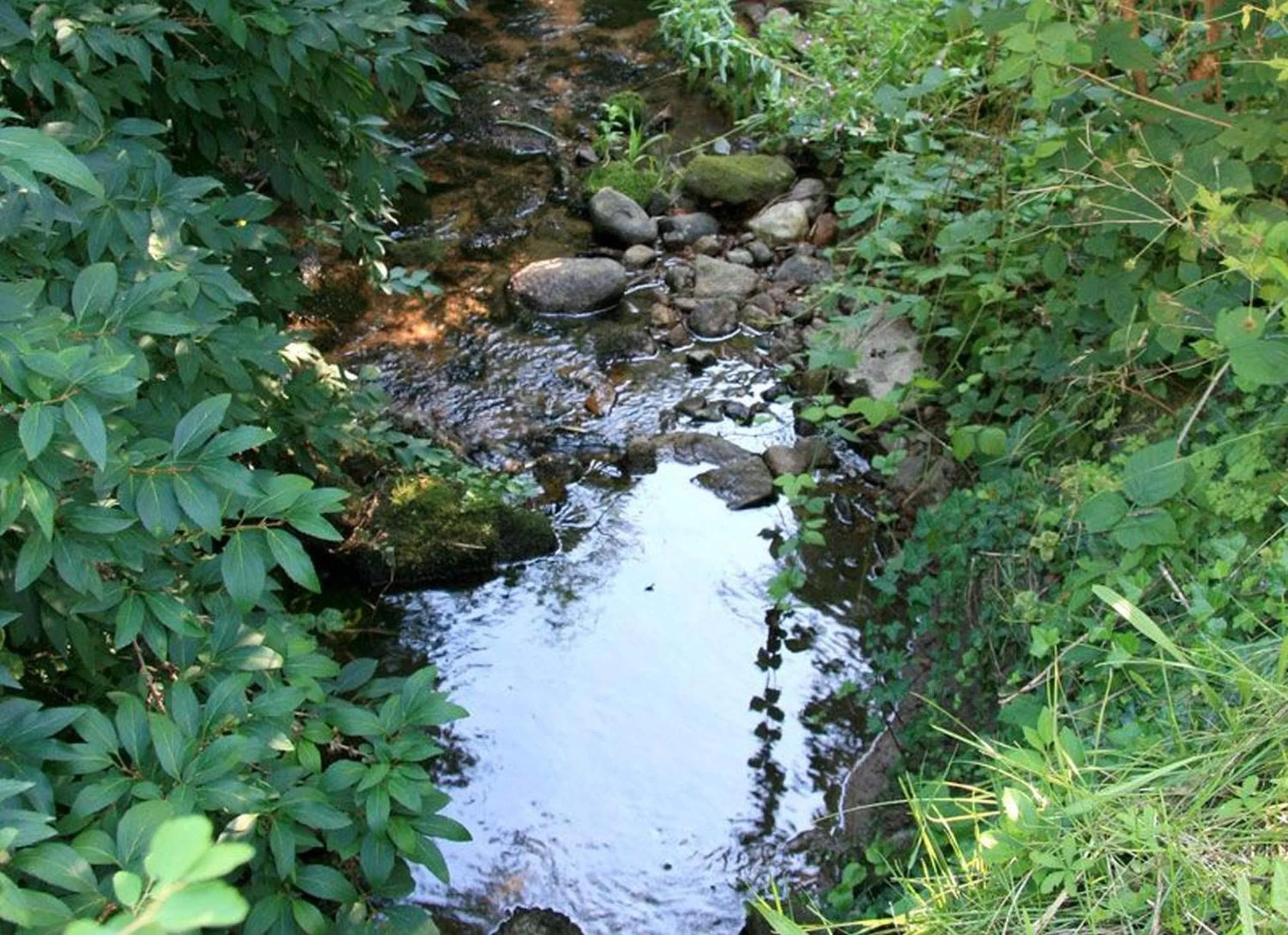 Other in Haus am Blauenbach