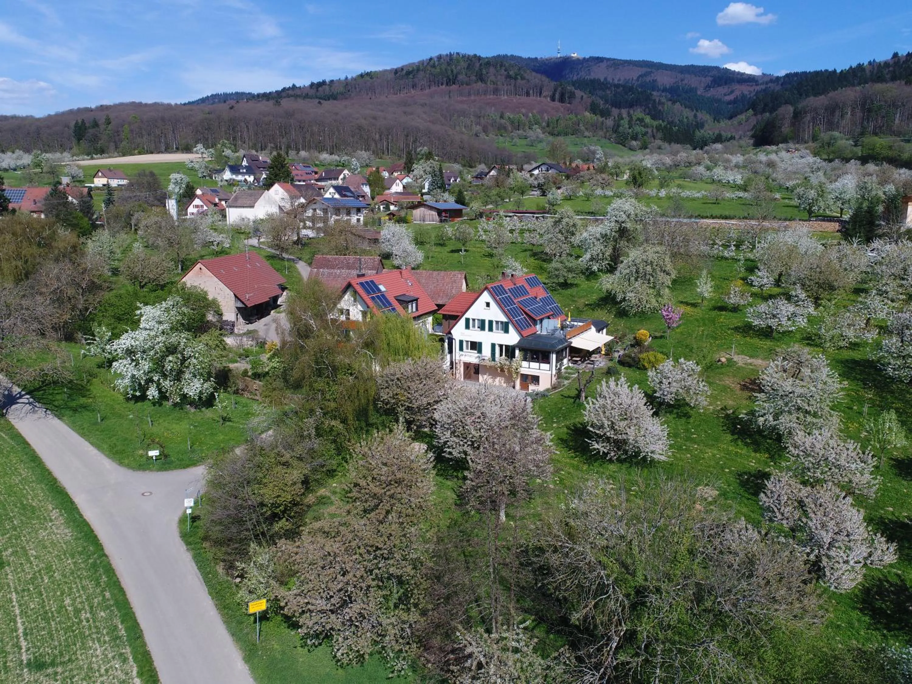 Bird's eye view in Haus am Blauenbach