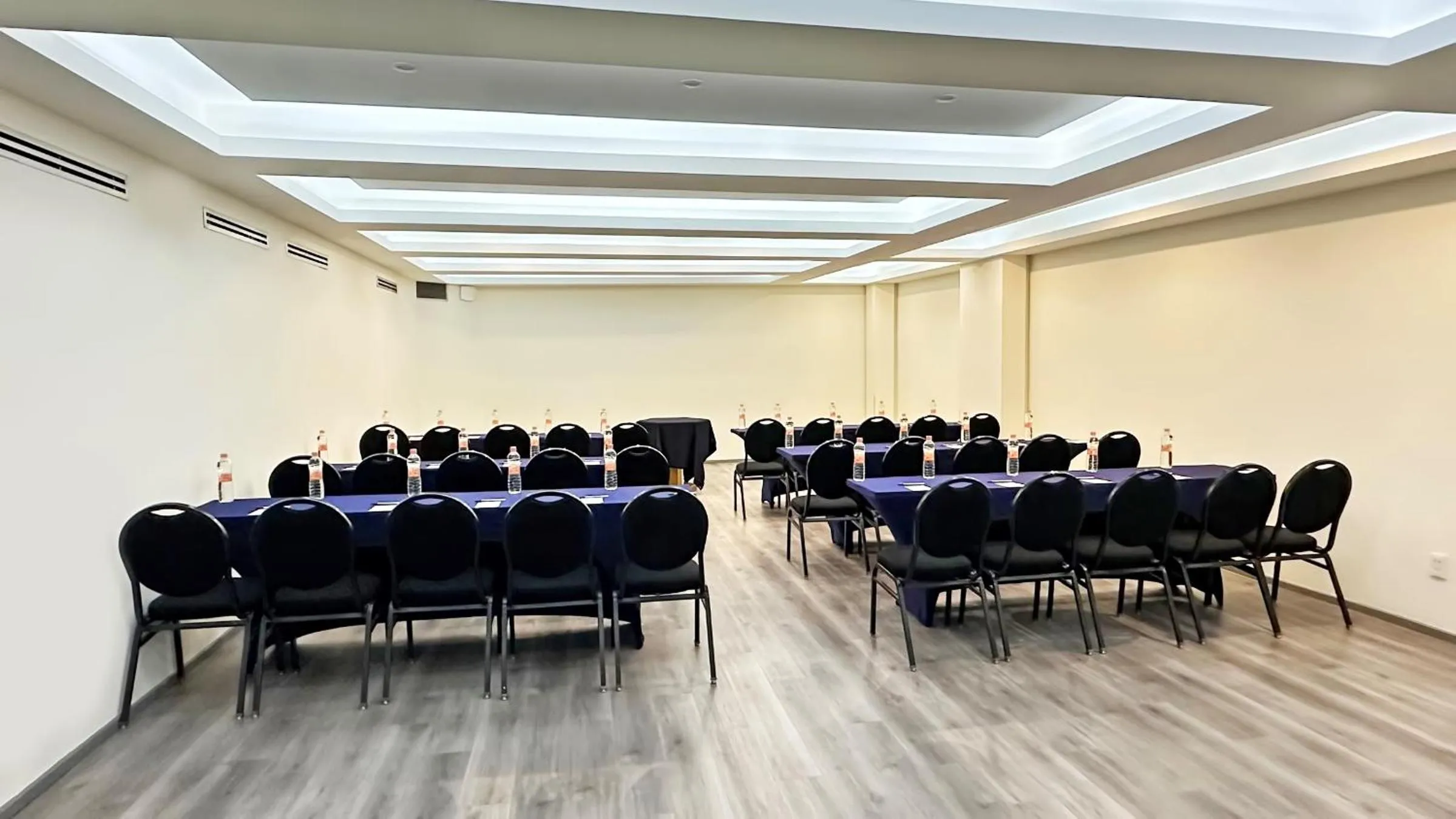 Meeting/conference room in Hotel Ritz Ciudad de México
