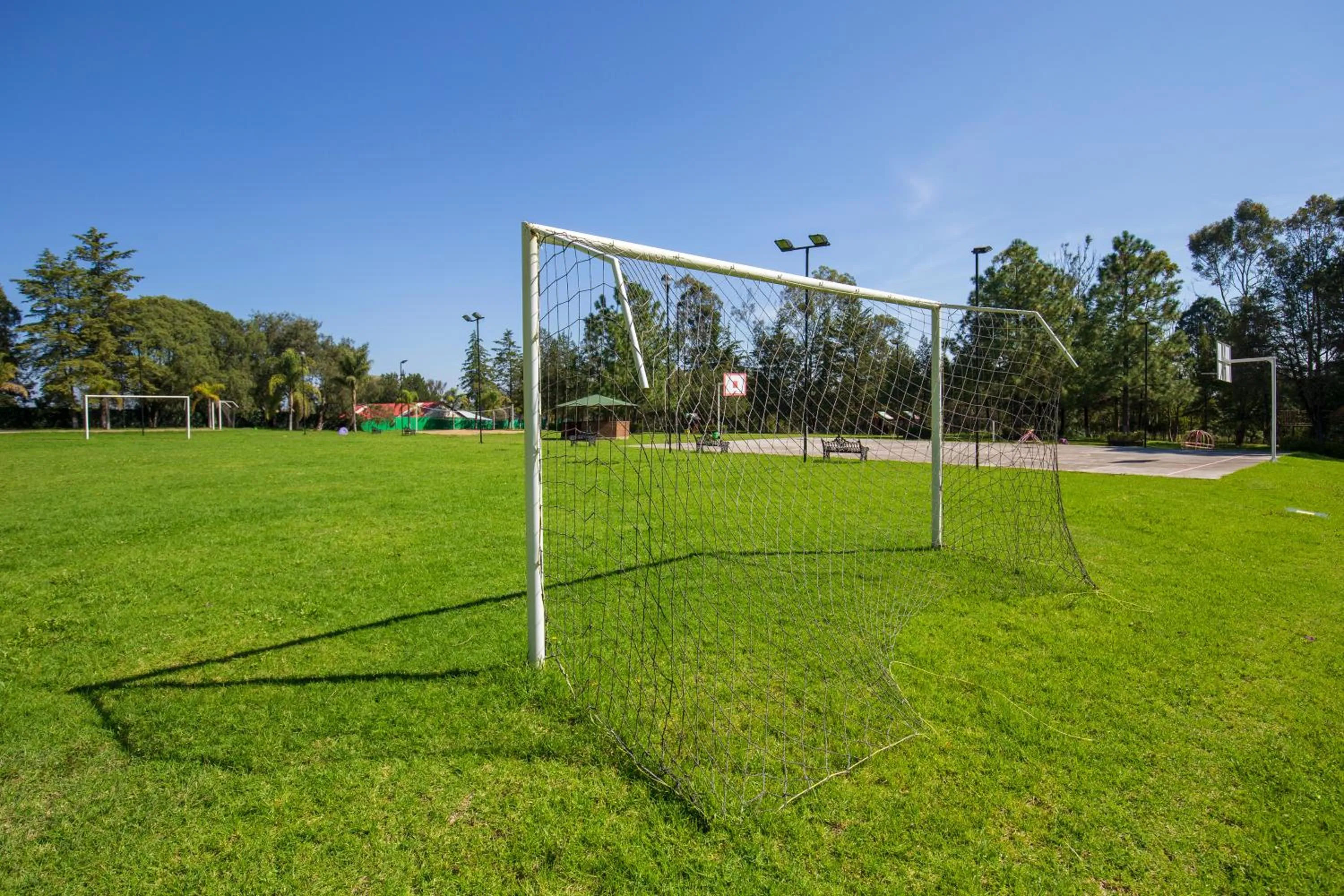 Natural landscape in Hotel & Glamping Huasca Sierra Verde