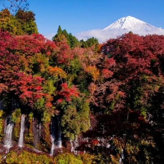 Cabin House Yado Fujinomiya