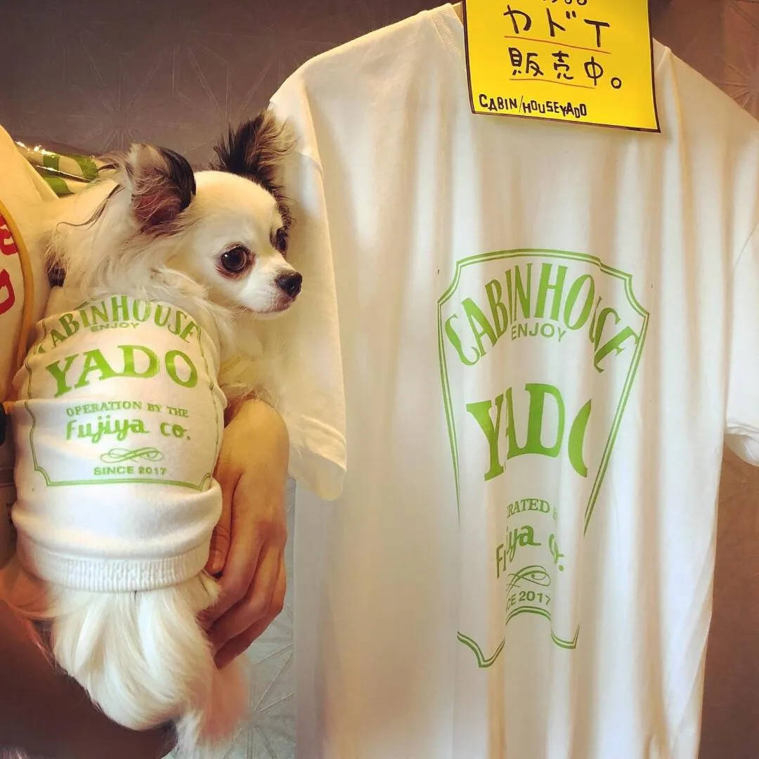 Cabin House Yado Fujinomiya