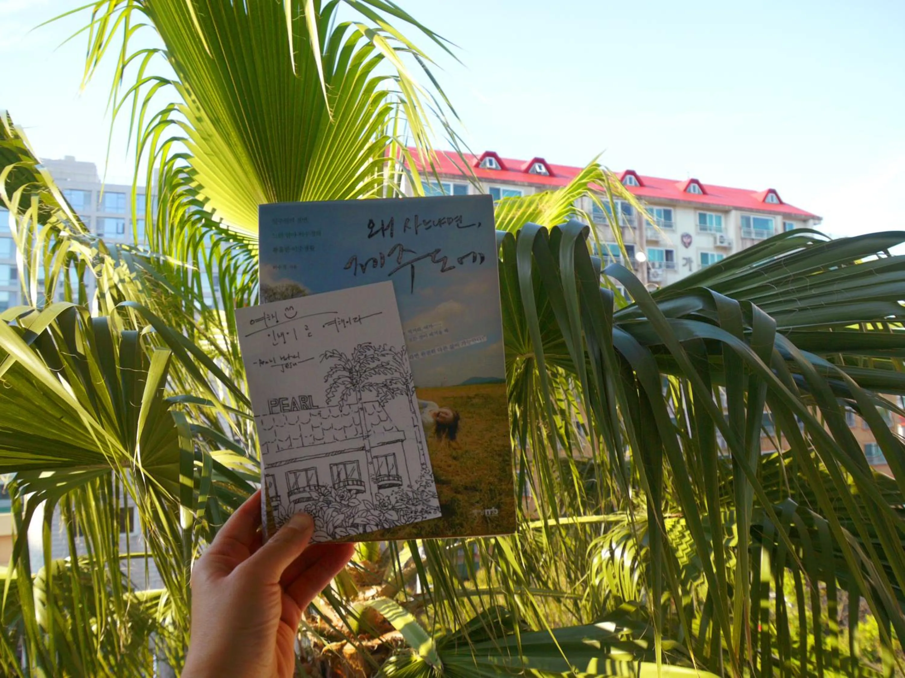 View (from property/room) in Pearl Hotel Jeju