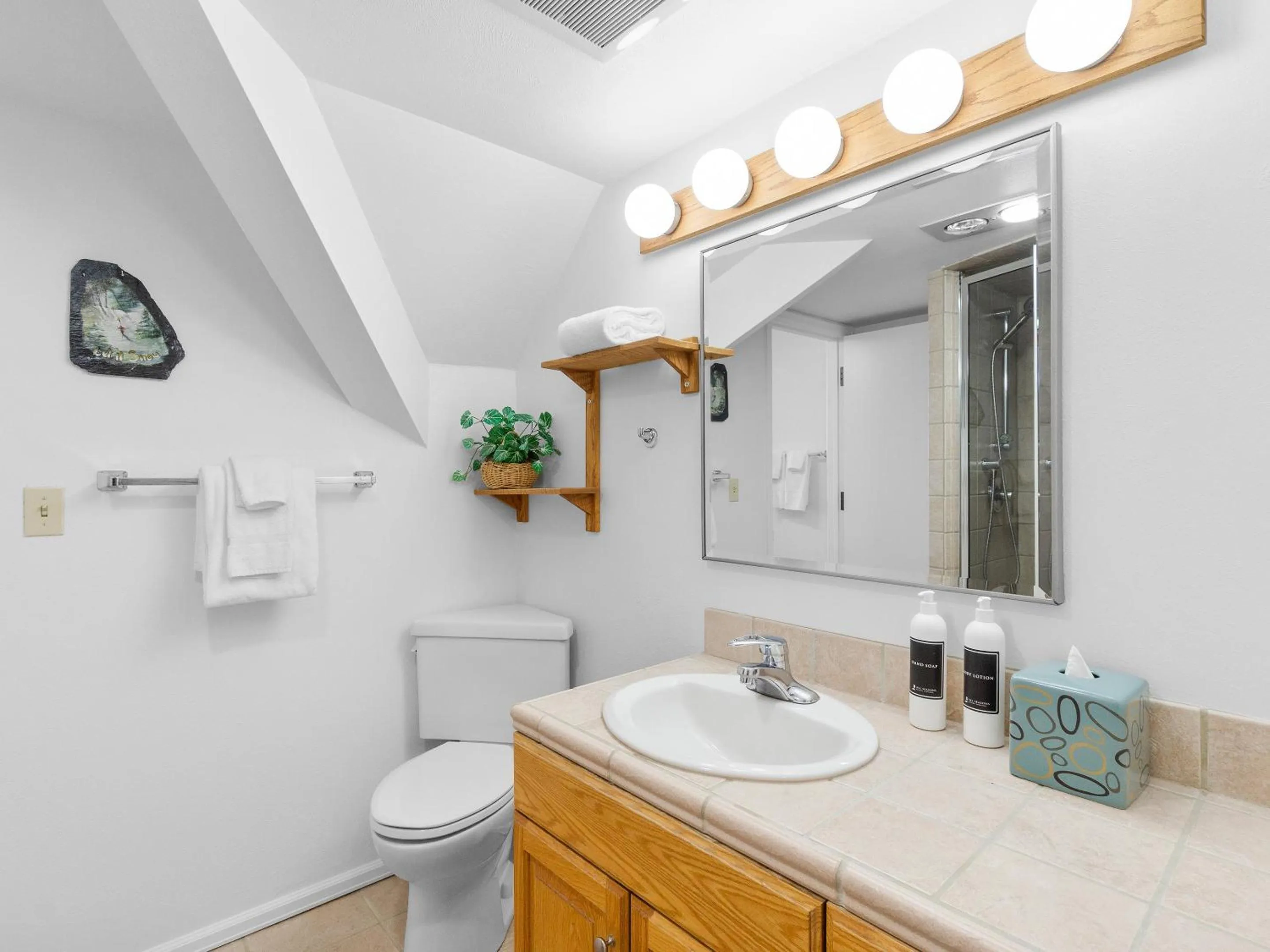 Bathroom in The Lodge at the Mountain Village by All Seasons Resort Lodging