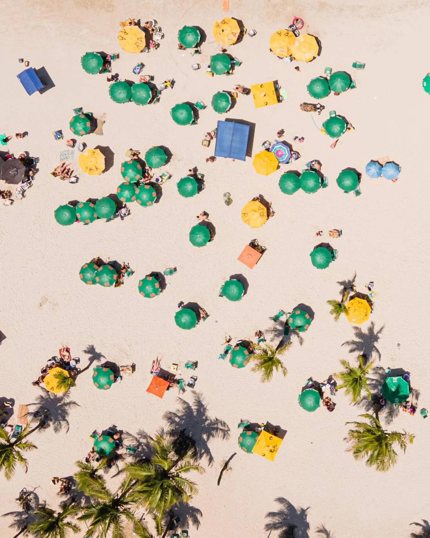 Beach in Hotel Ilhas do Caribe - Na melhor região da Praia da Enseada