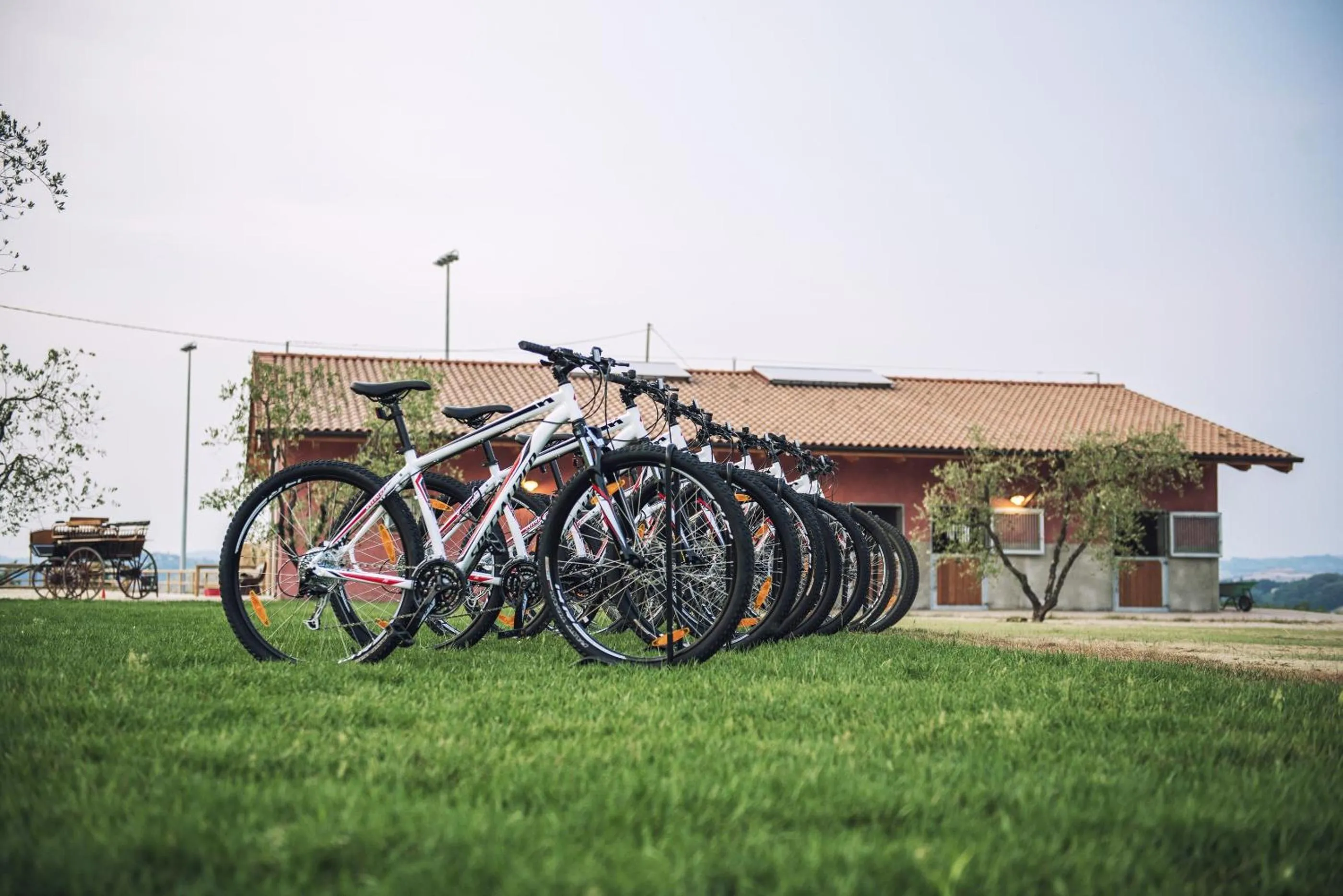 Cycling in B&B Diacceroni