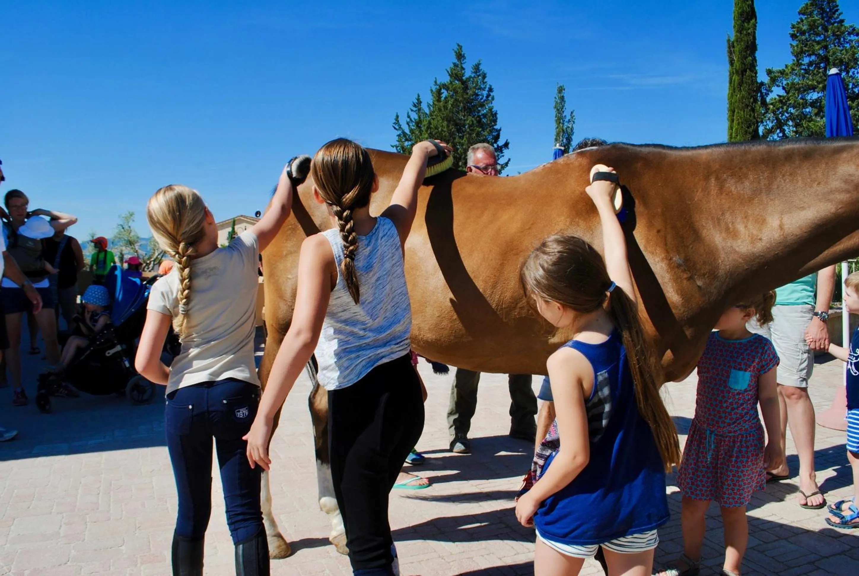 Horse-riding in B&B Diacceroni