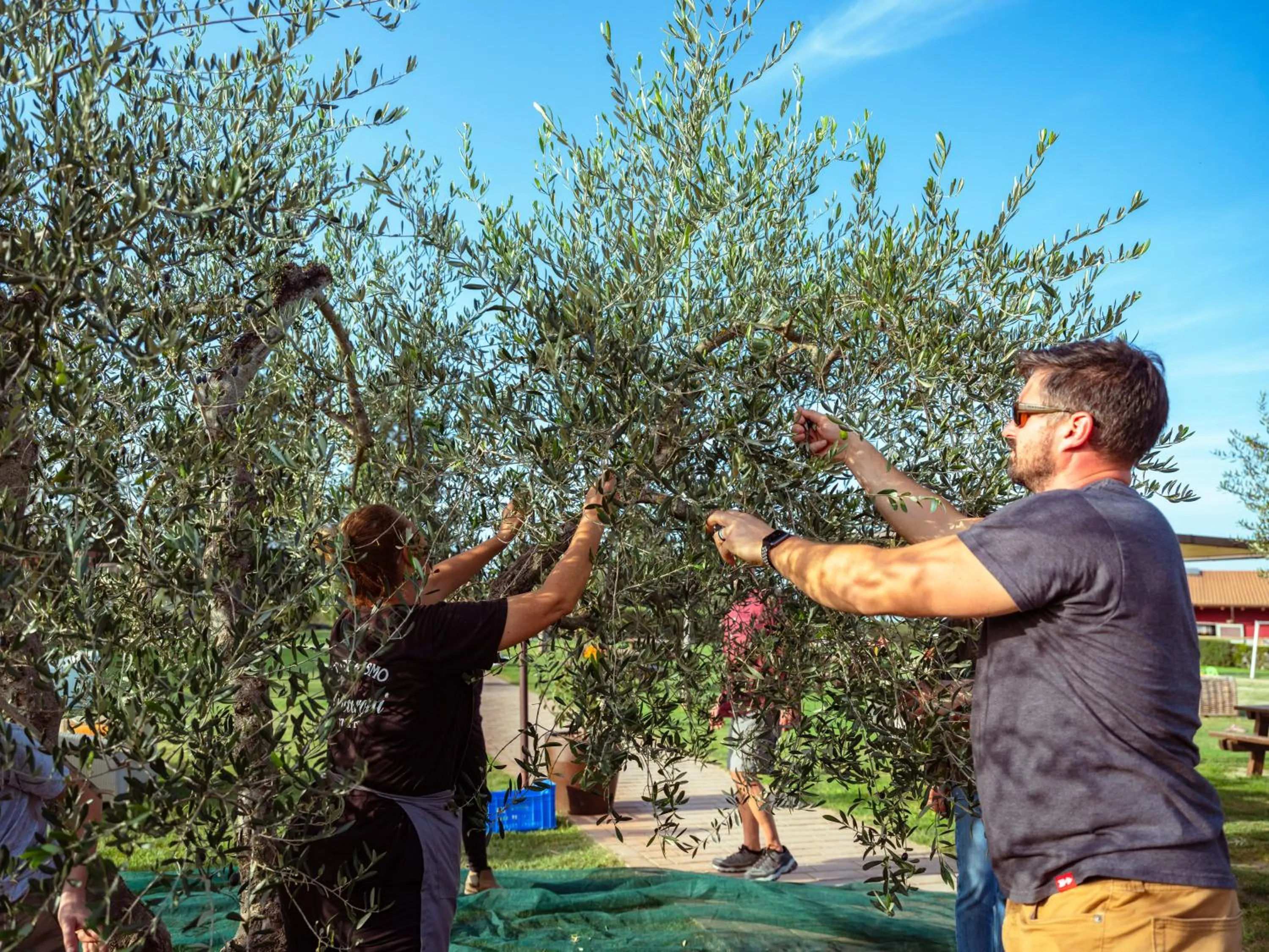 Spring in Agriturismo Pompilia
