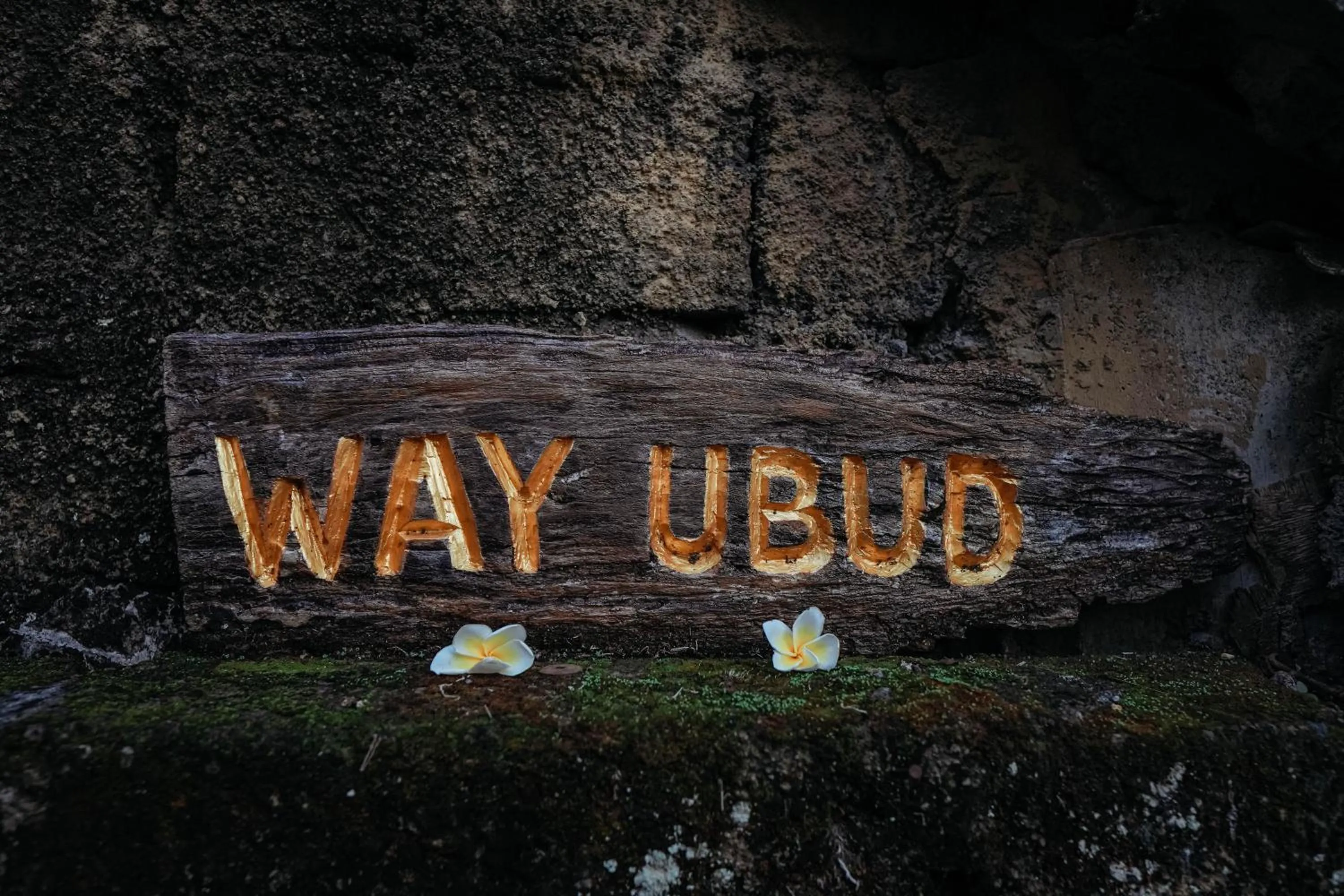 Property logo or sign in Way Ubud