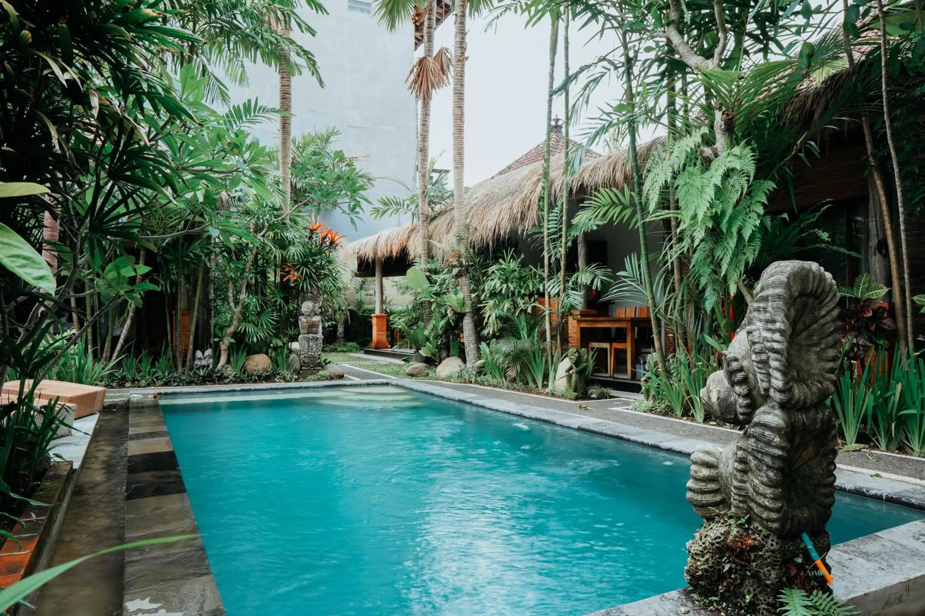 Swimming pool in Way Ubud