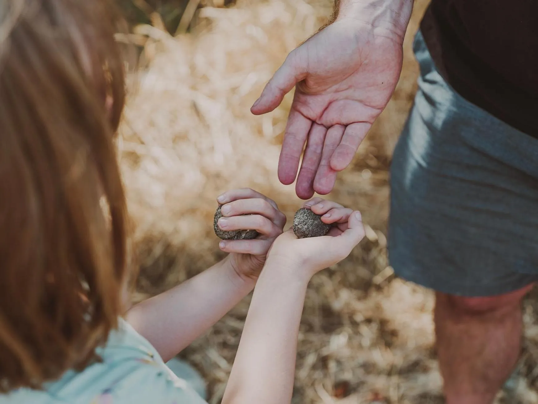 Day in Agriturismo Panieracci