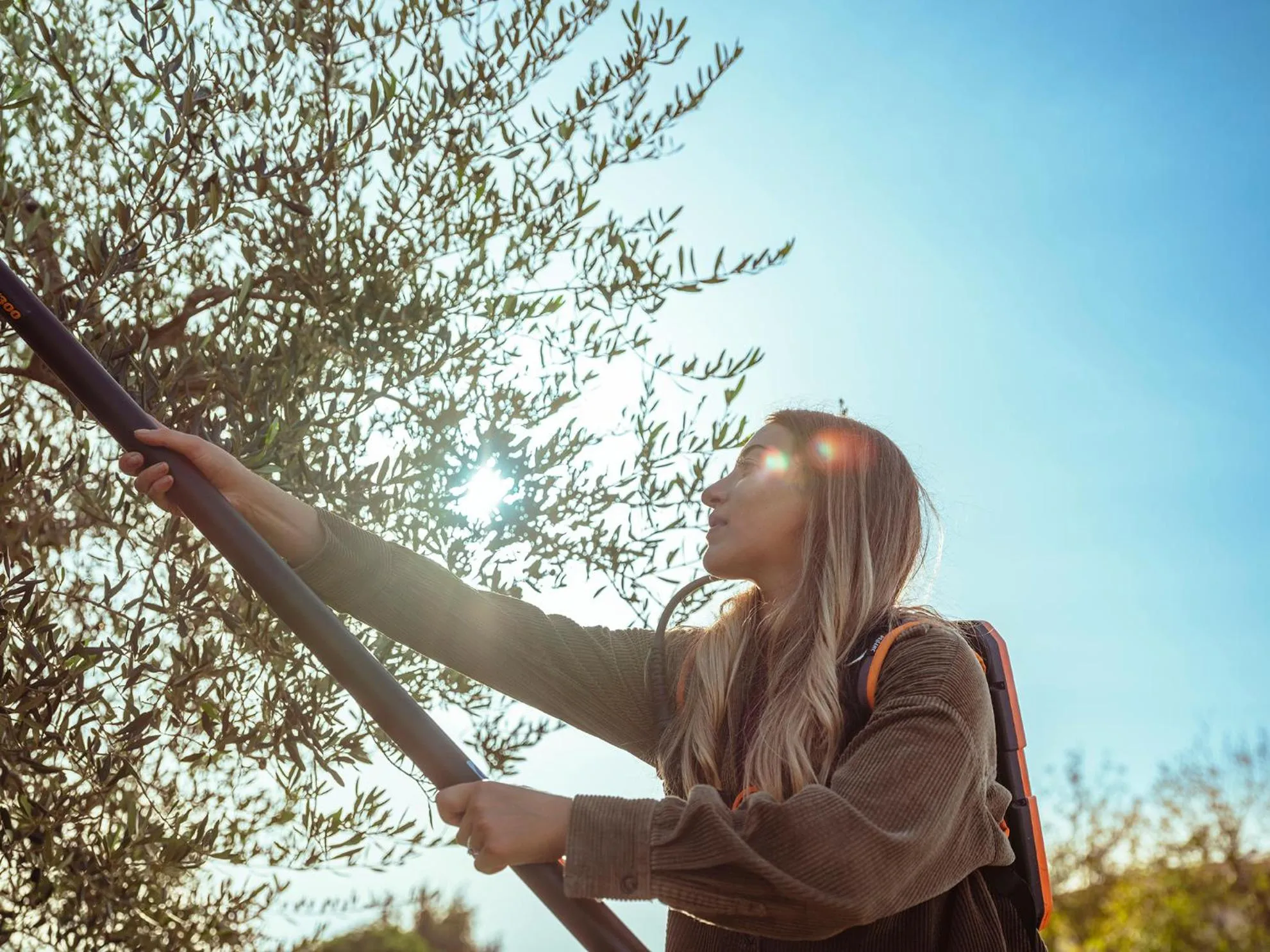 Spring in Agriturismo Panieracci