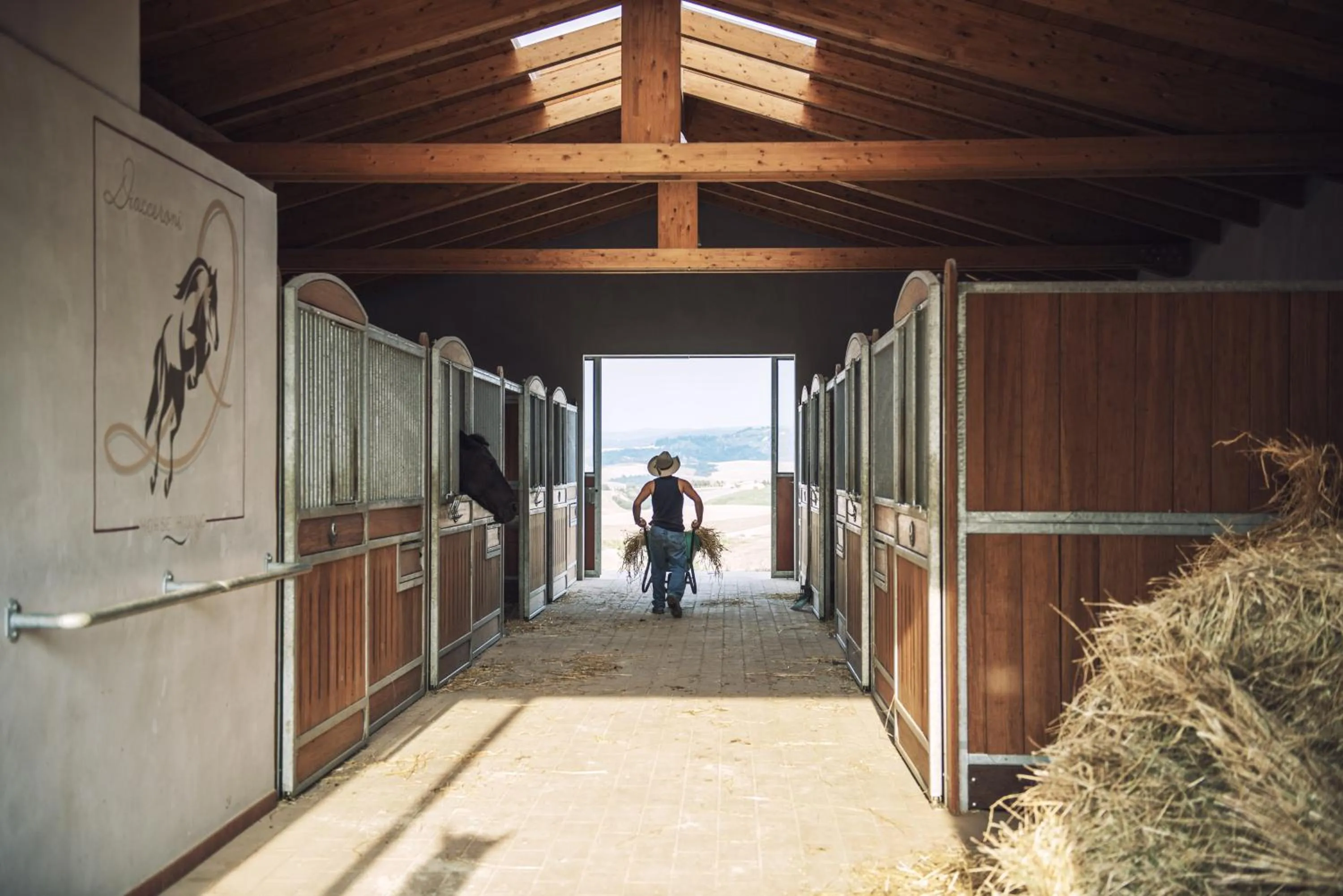 Day in Agriturismo Panieracci