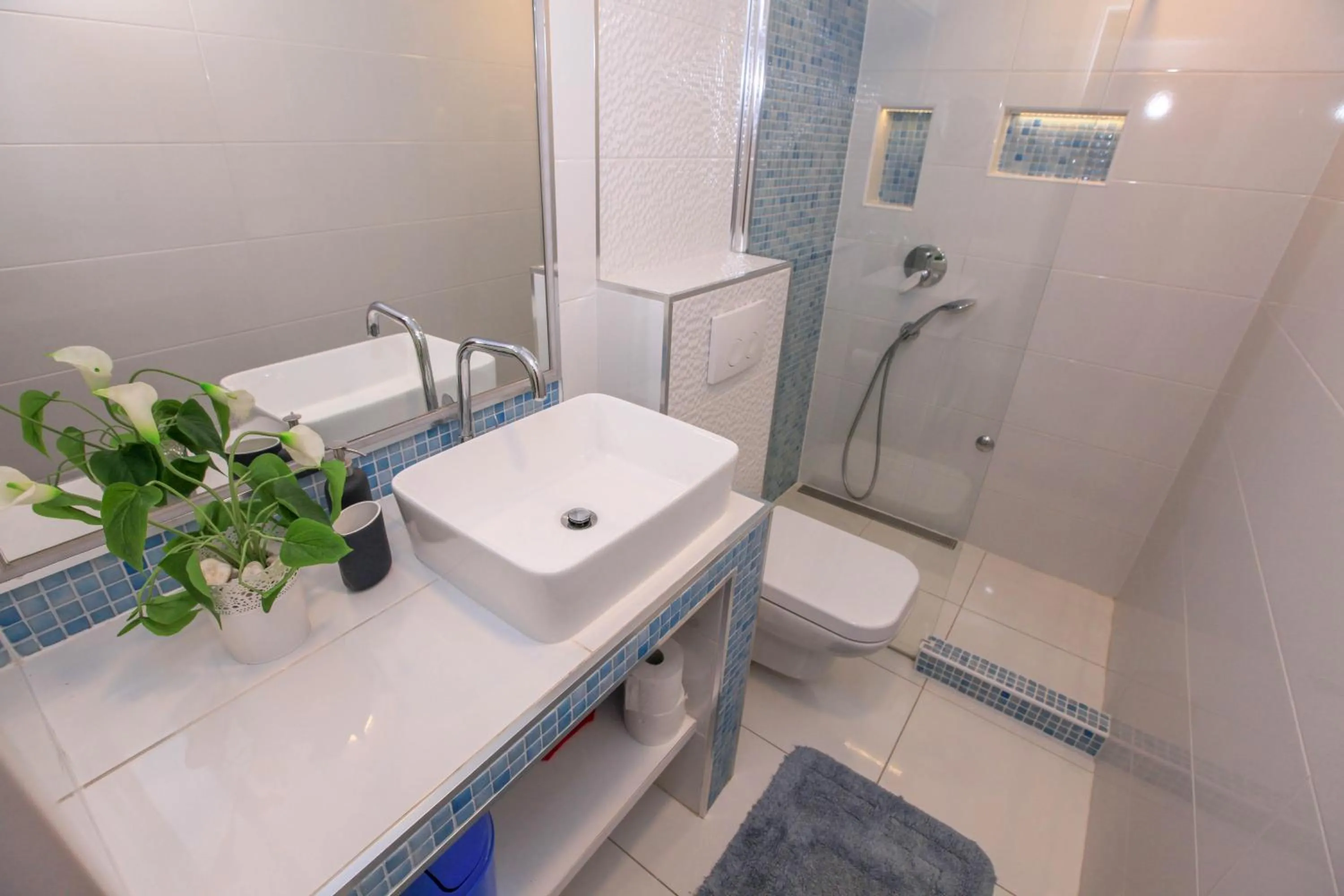 Shower in Apartments Erika
