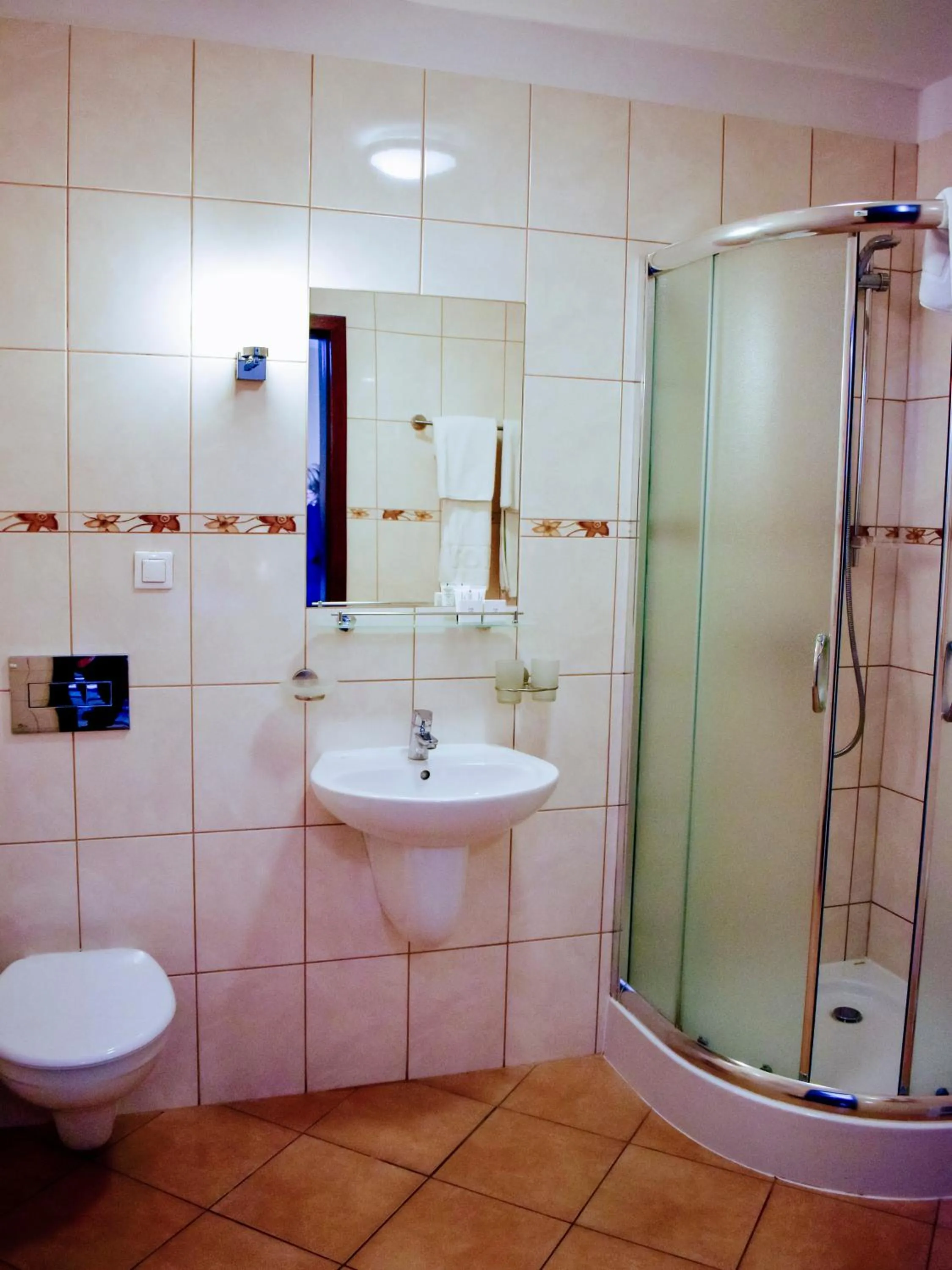 Shower in Hotel Zamek Królewski w Rydzynie