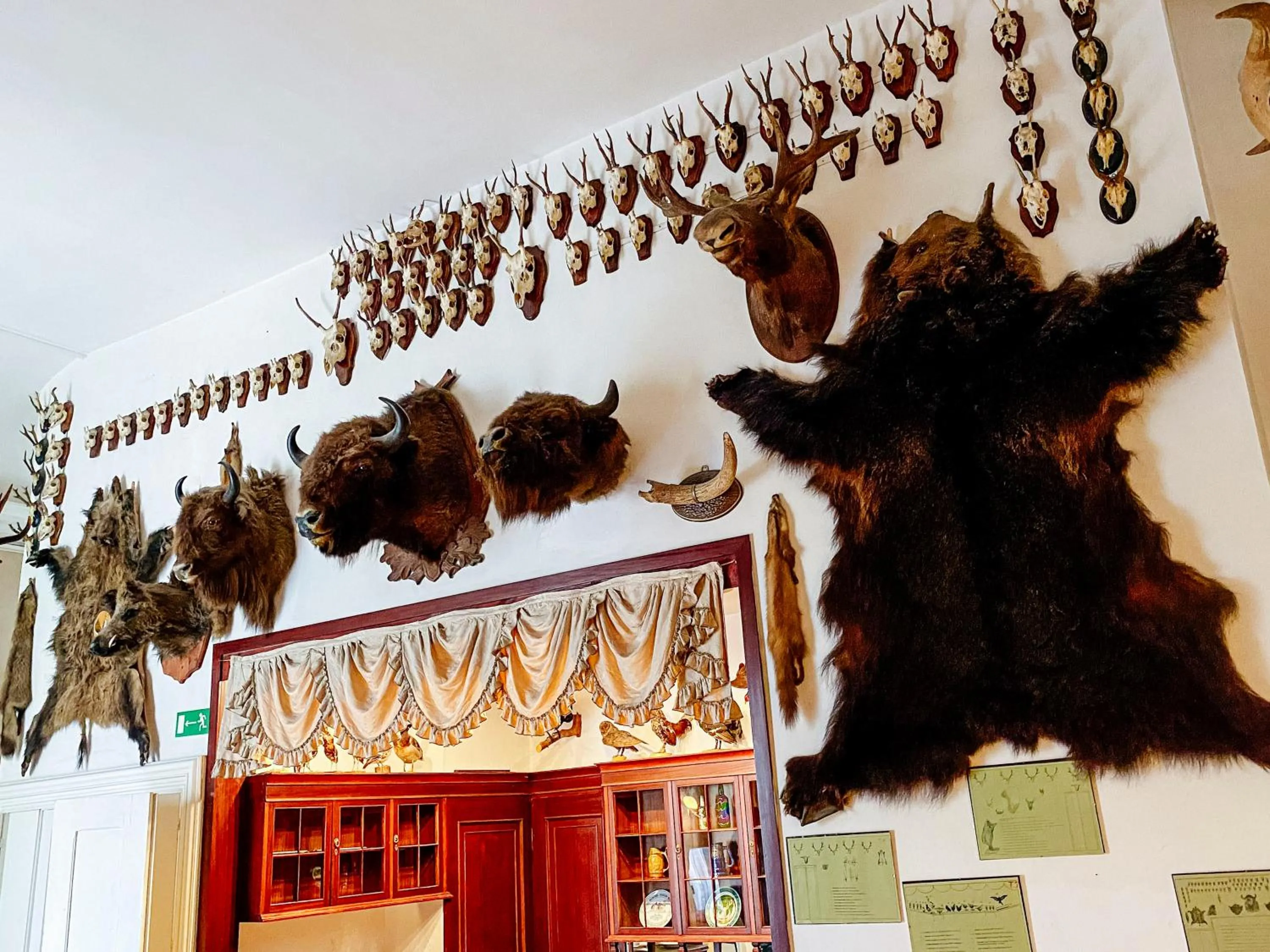 Property building in Hotel Zamek Królewski w Rydzynie