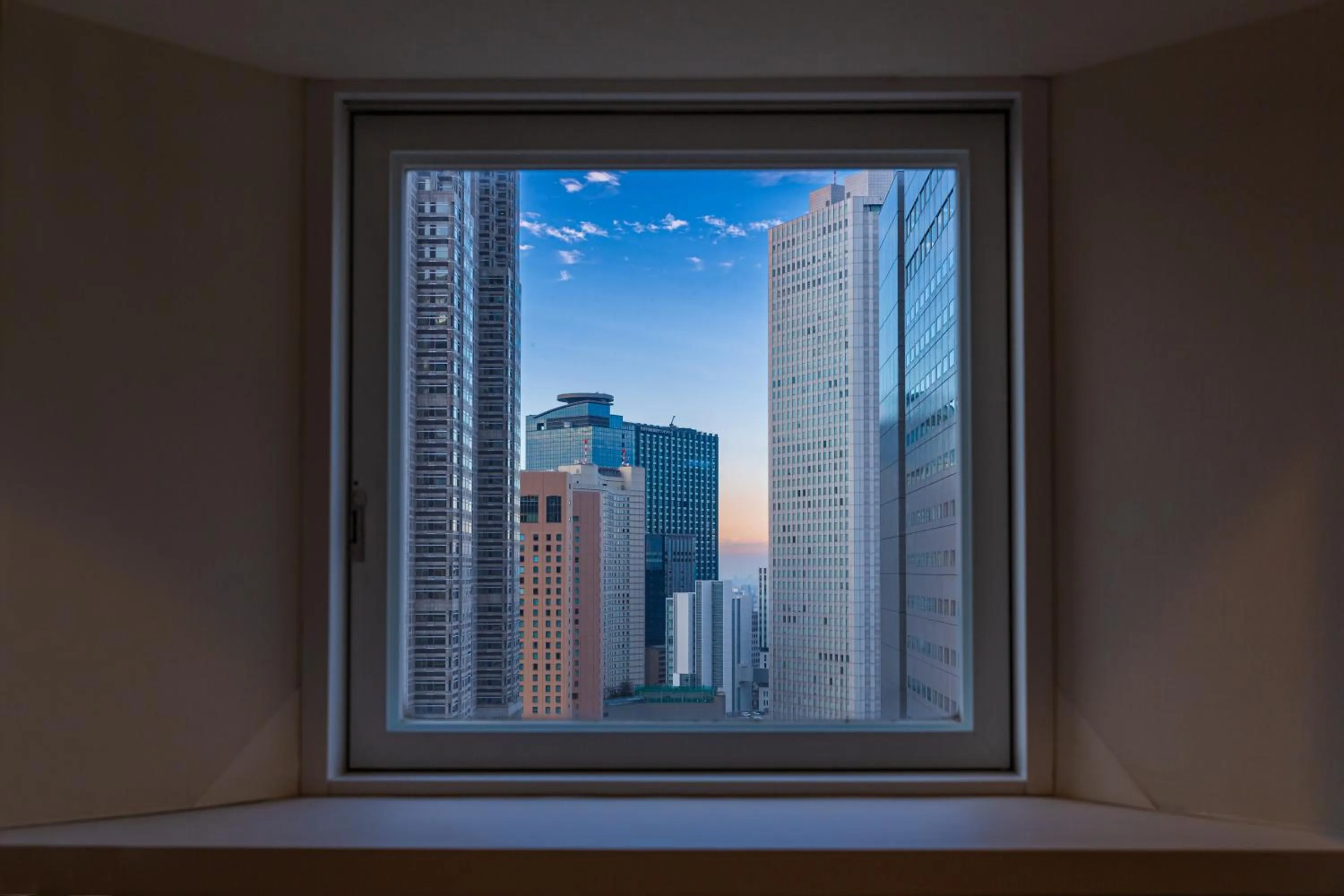 View (from property/room) in Shinjuku Washington Hotel