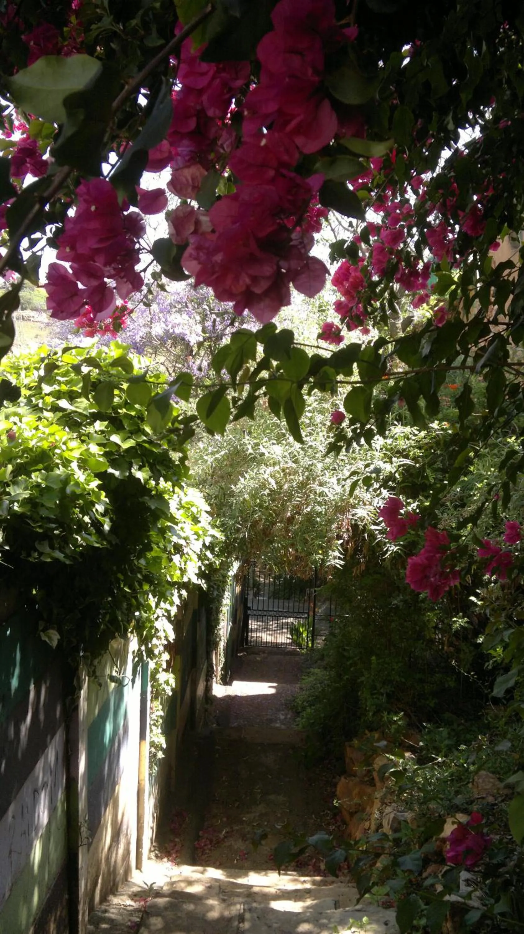 Day in Agterplaas Guesthouse Pty Ltd