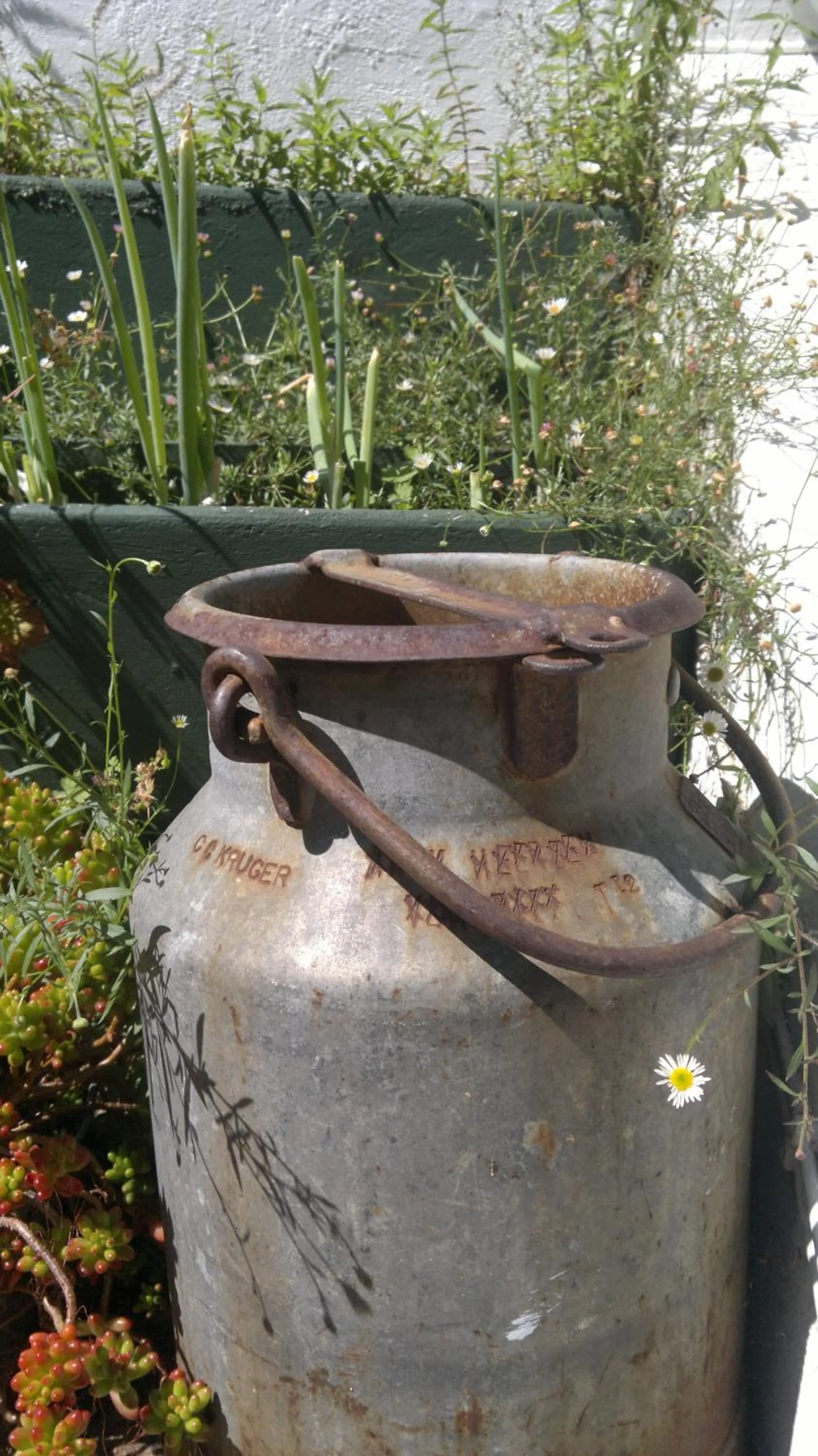 Day in Agterplaas Guesthouse Pty Ltd