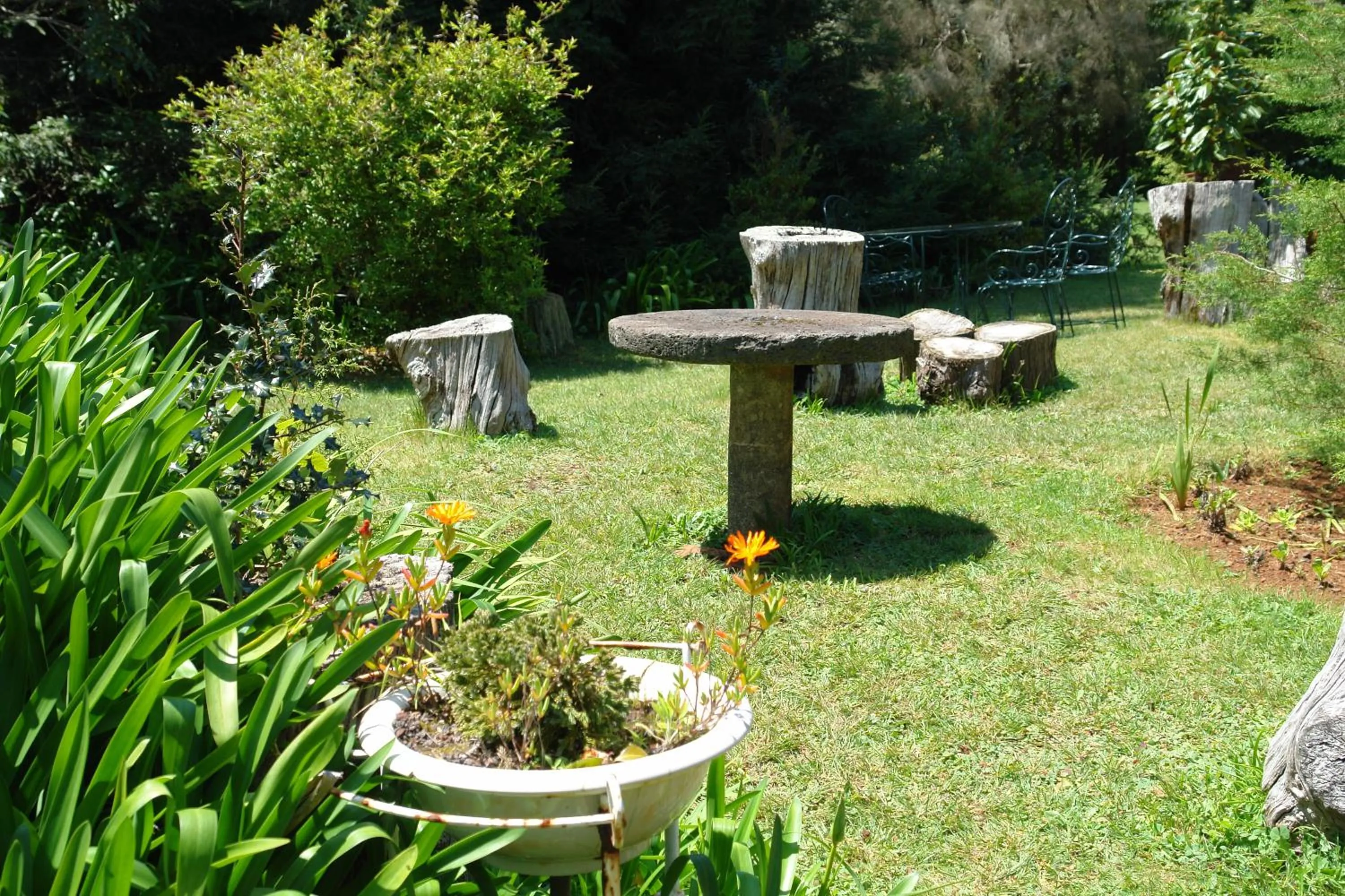 BBQ facilities in Quinta Santo Antonio Da Serra