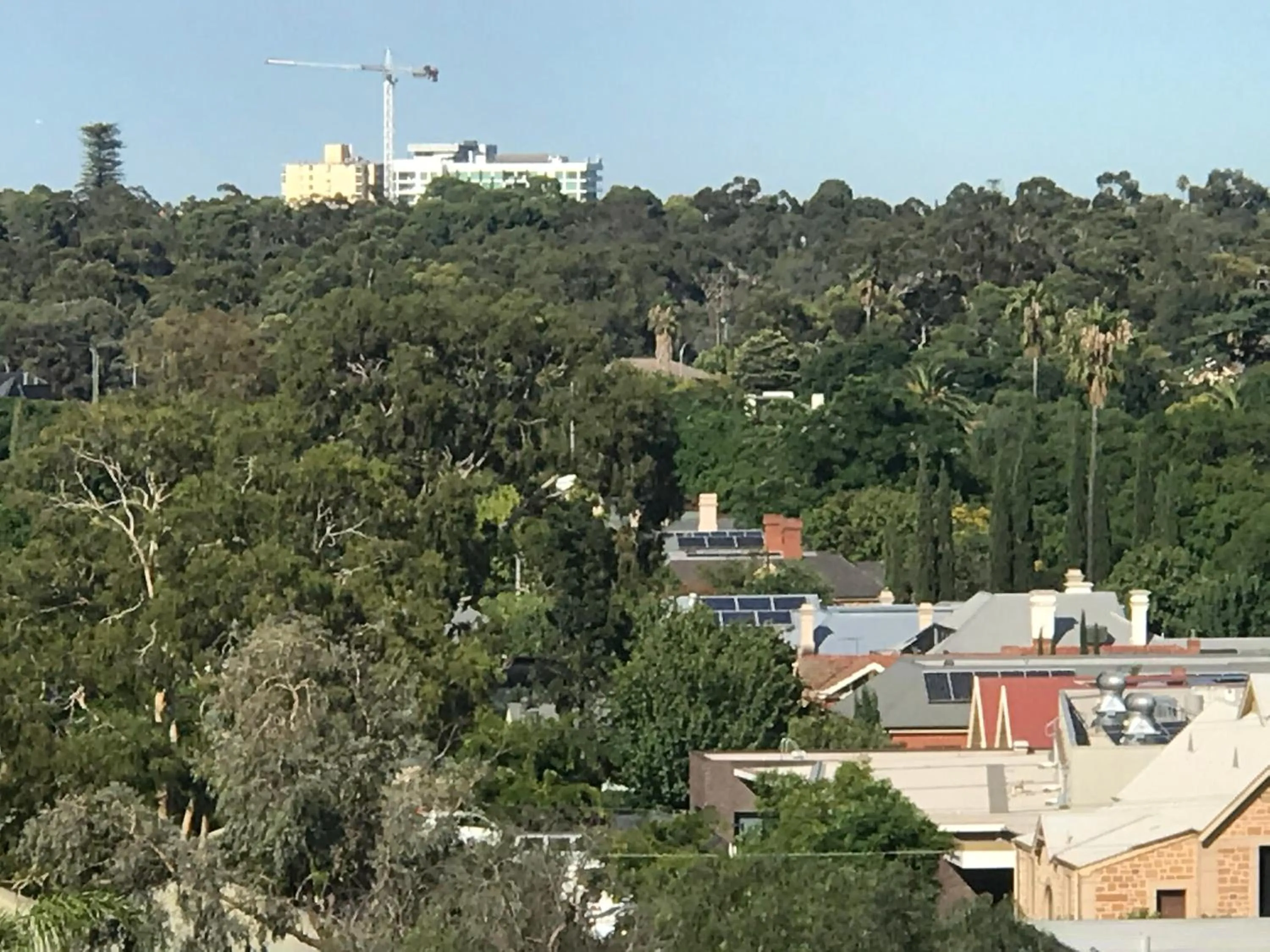 Tasha's Apartments on Warwick