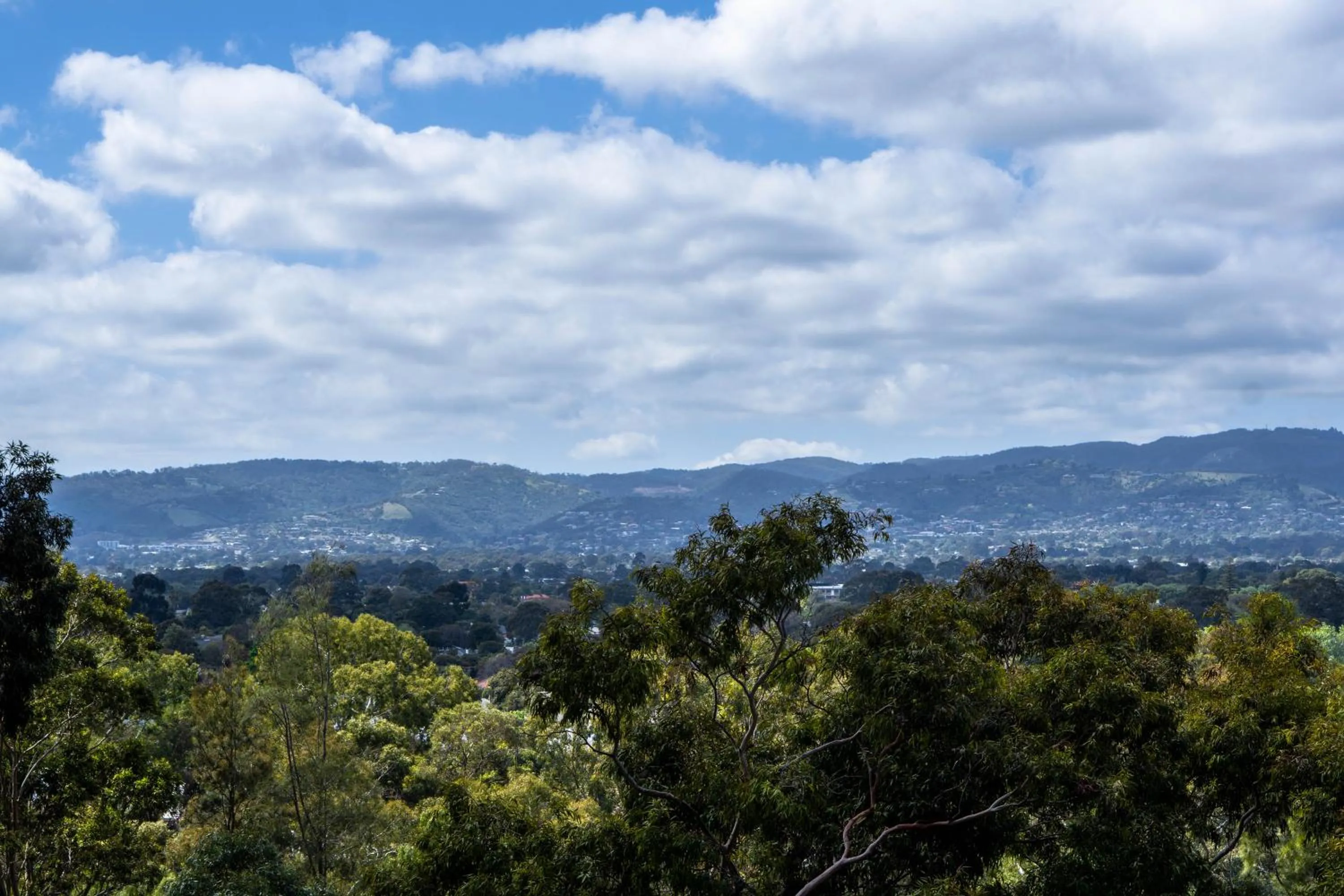 Tasha's Apartments on Warwick