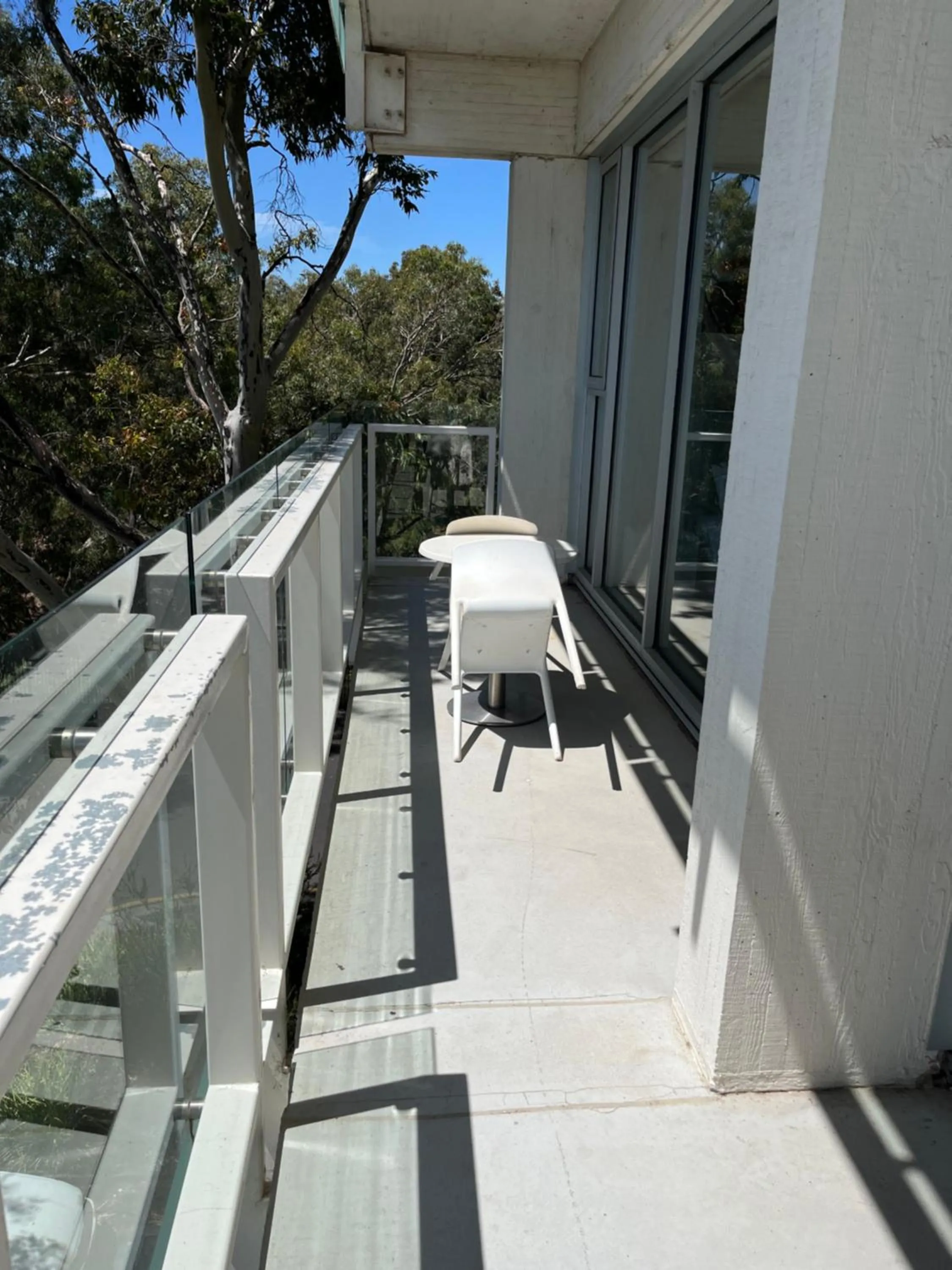 Tasha's Apartments on Warwick