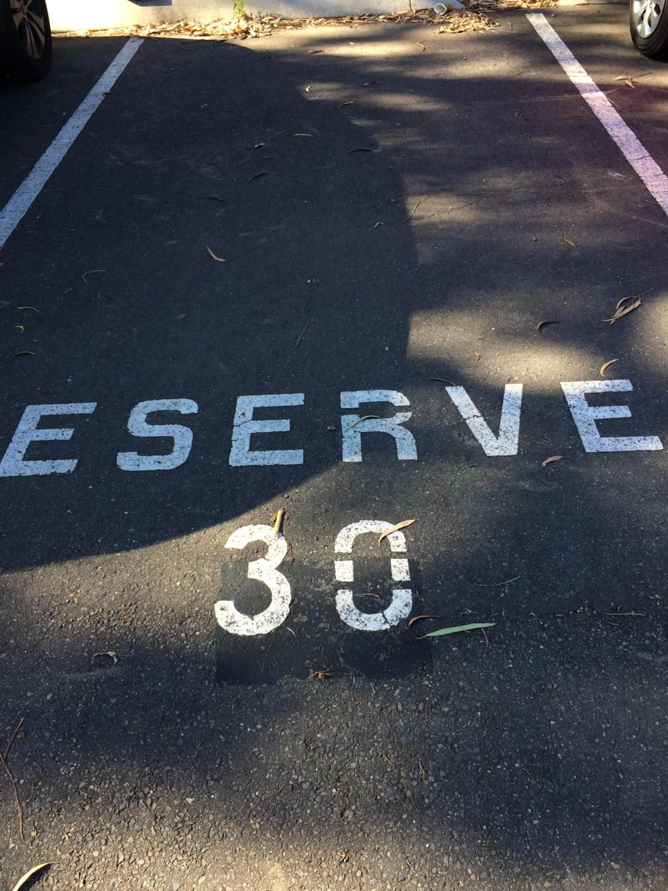 Tasha's Apartments on Warwick