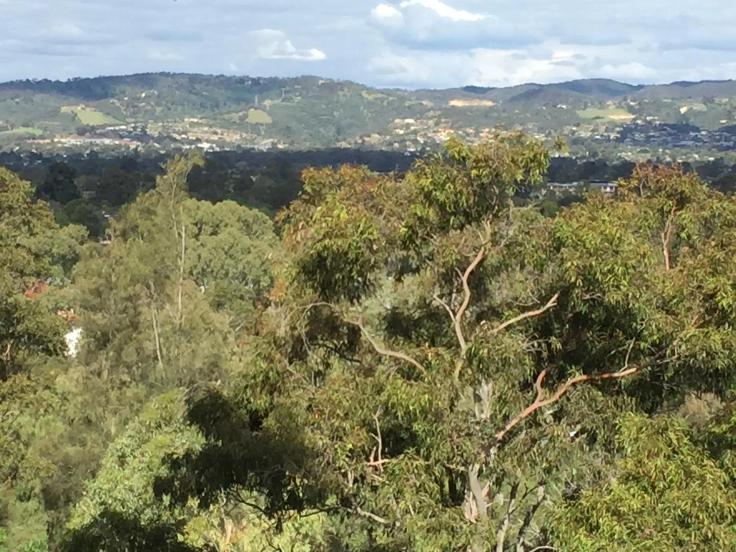 Tasha's Apartments on Warwick