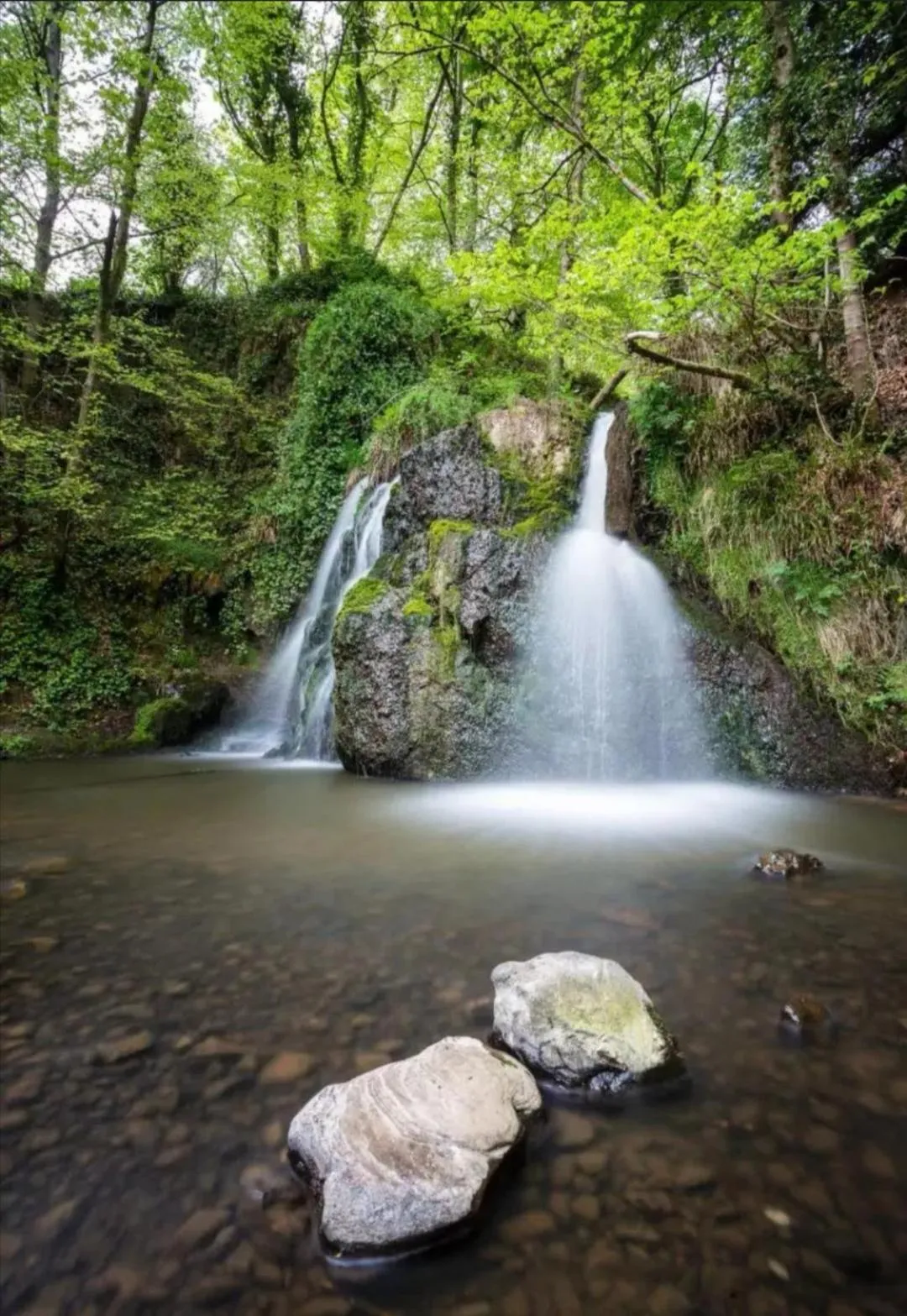 Hillhaven Bed &Breakfast