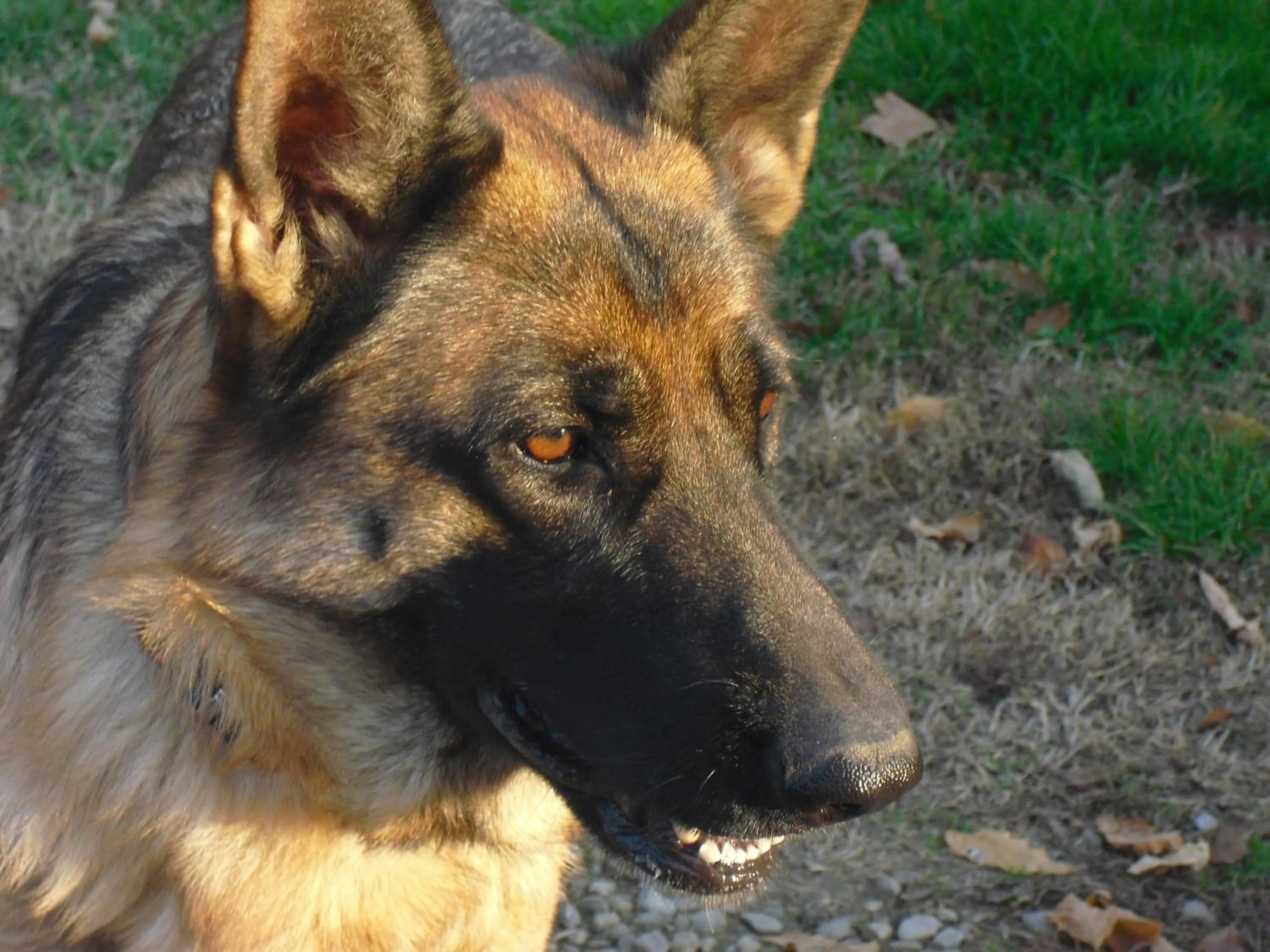 Other in Agriturismo La Lupa