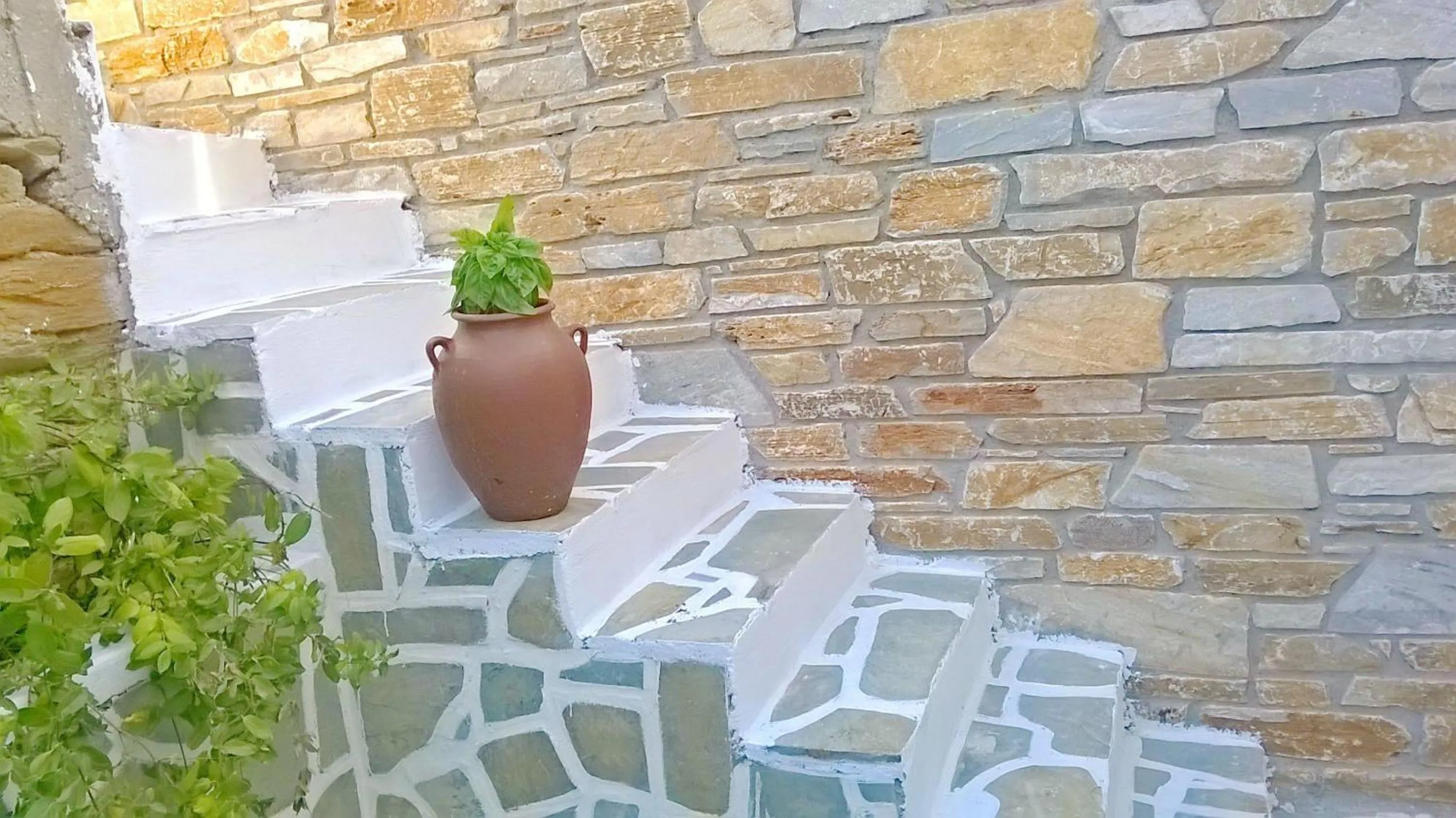 Garden in Hotel Faros