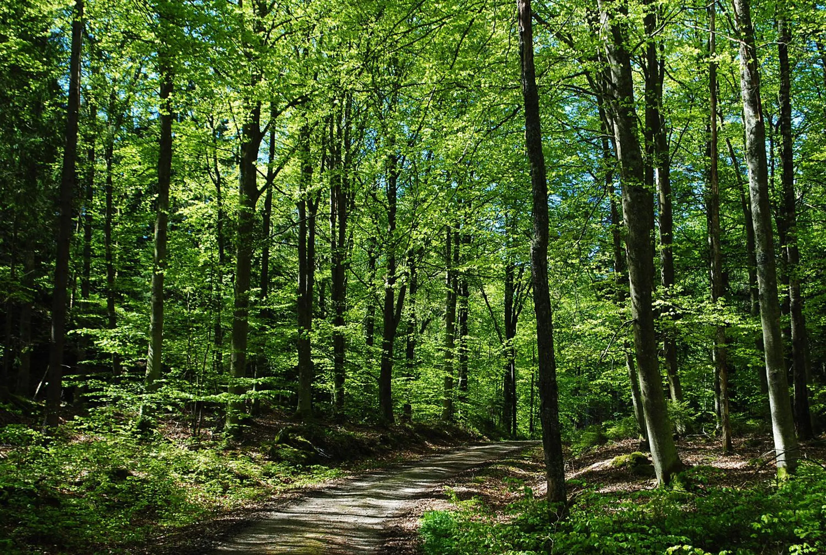 Natural landscape in Anfasteröd Gårdsvik - Badstugorna