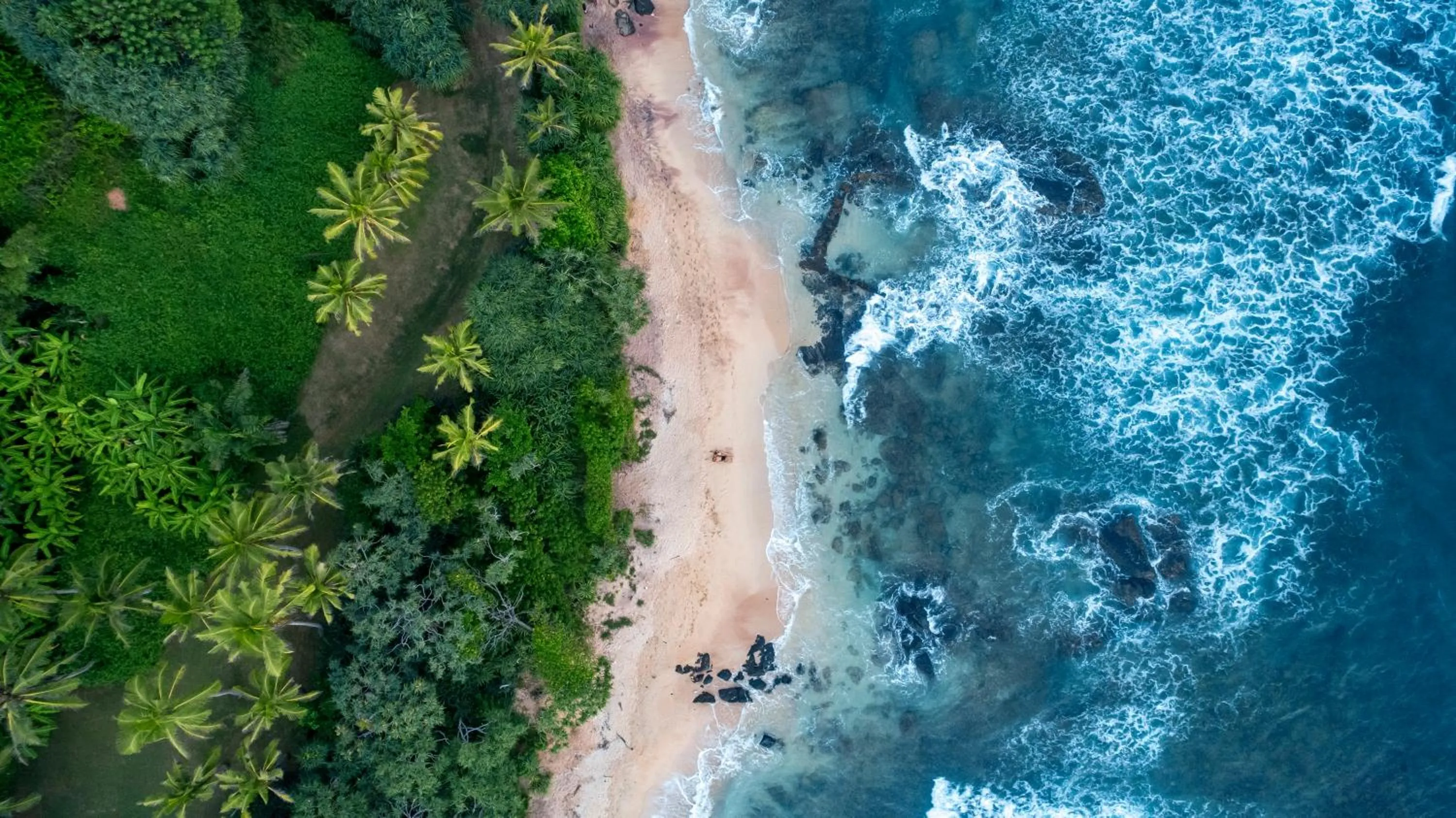 Natural landscape in Villa Océane