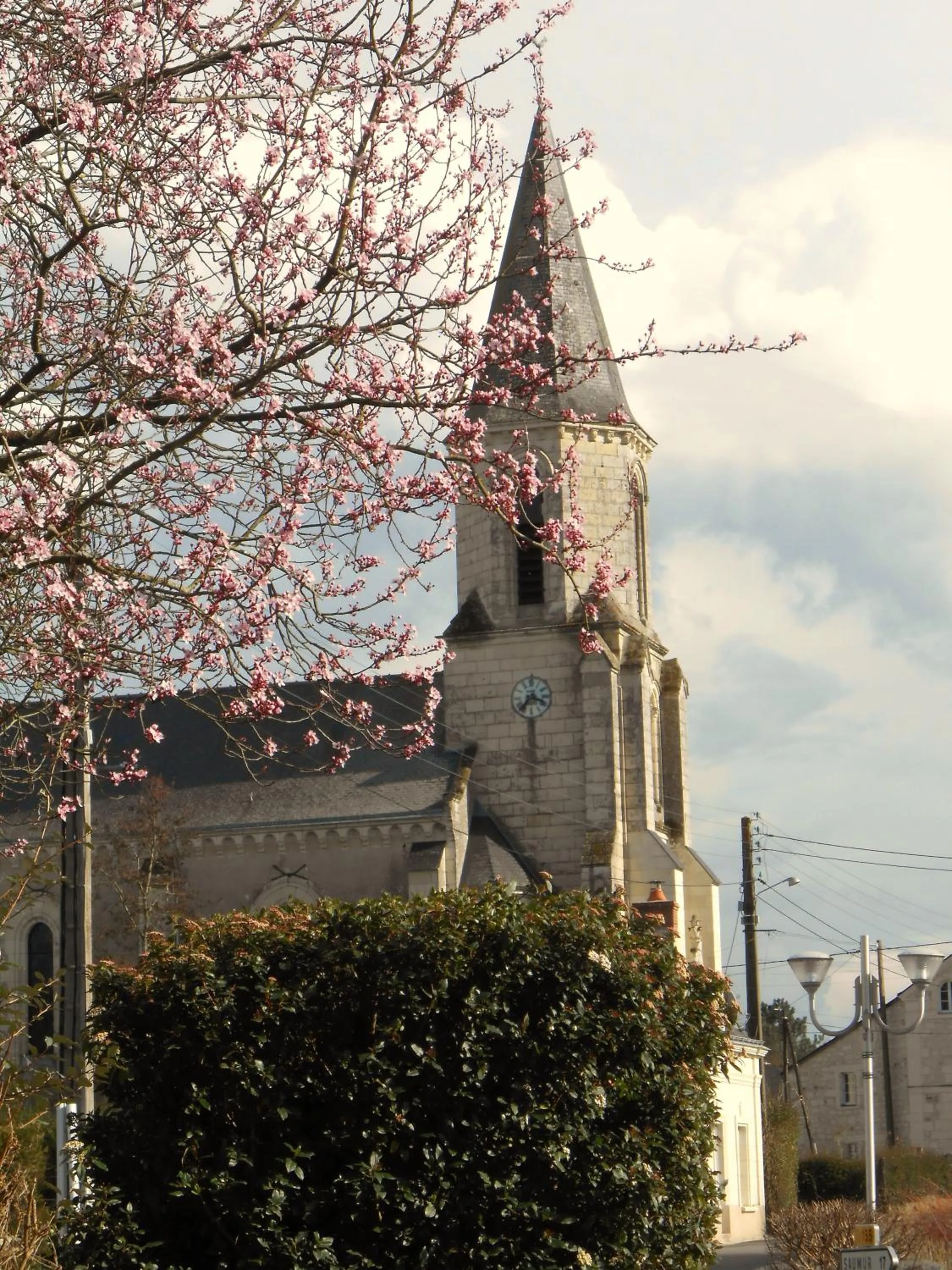 Area and facilities in Logis Hotel Restaurant l'Orée Des Bois
