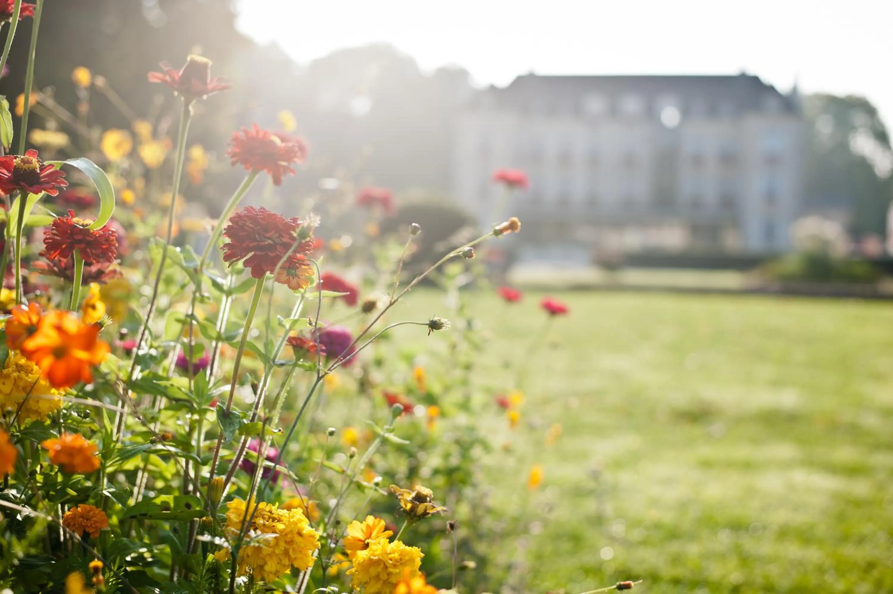 Garden in Château de Saulon