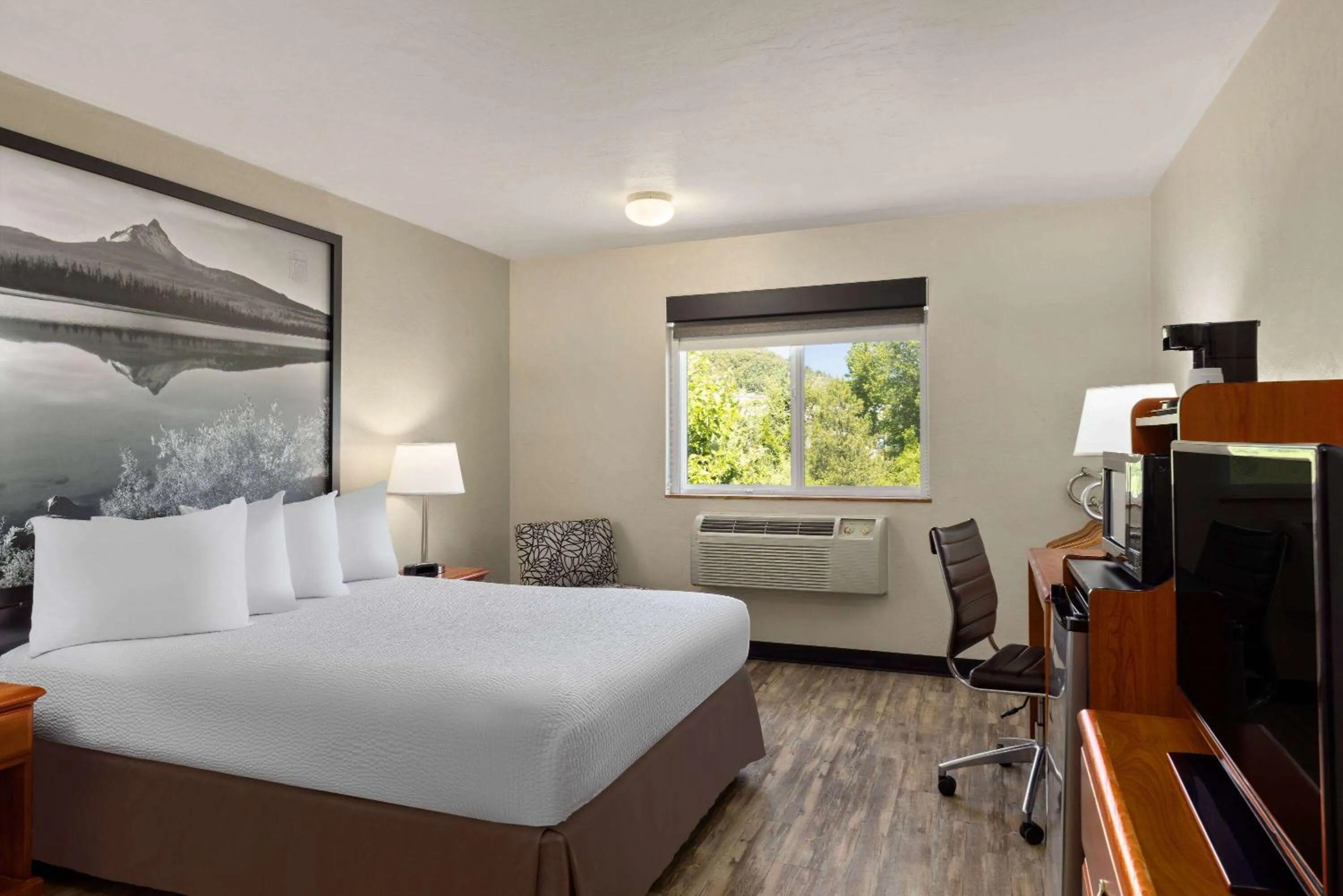 Photo of the whole room, Bed in Super 8 by Wyndham Roseburg