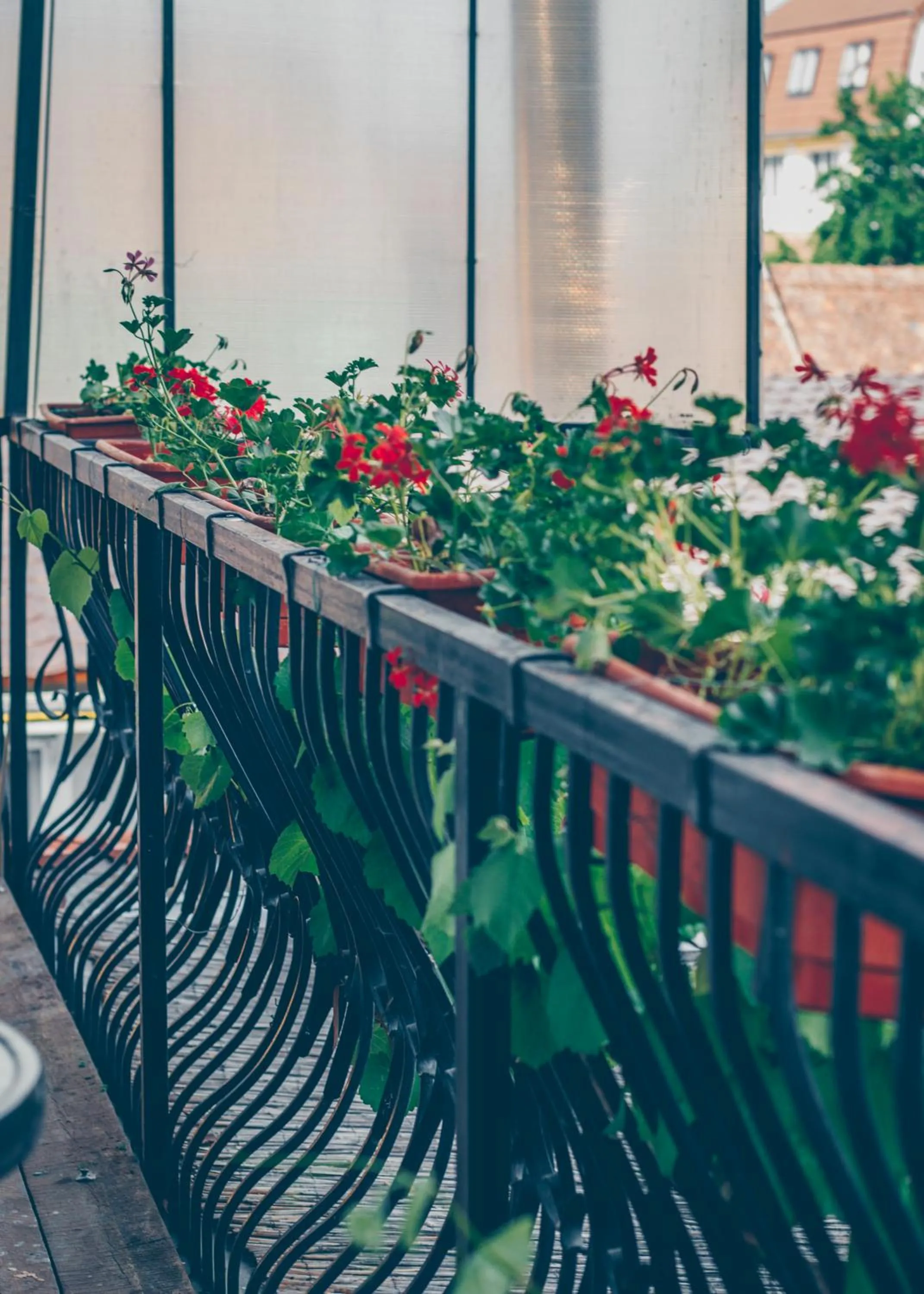 Balcony/Terrace in Gasthof Sara