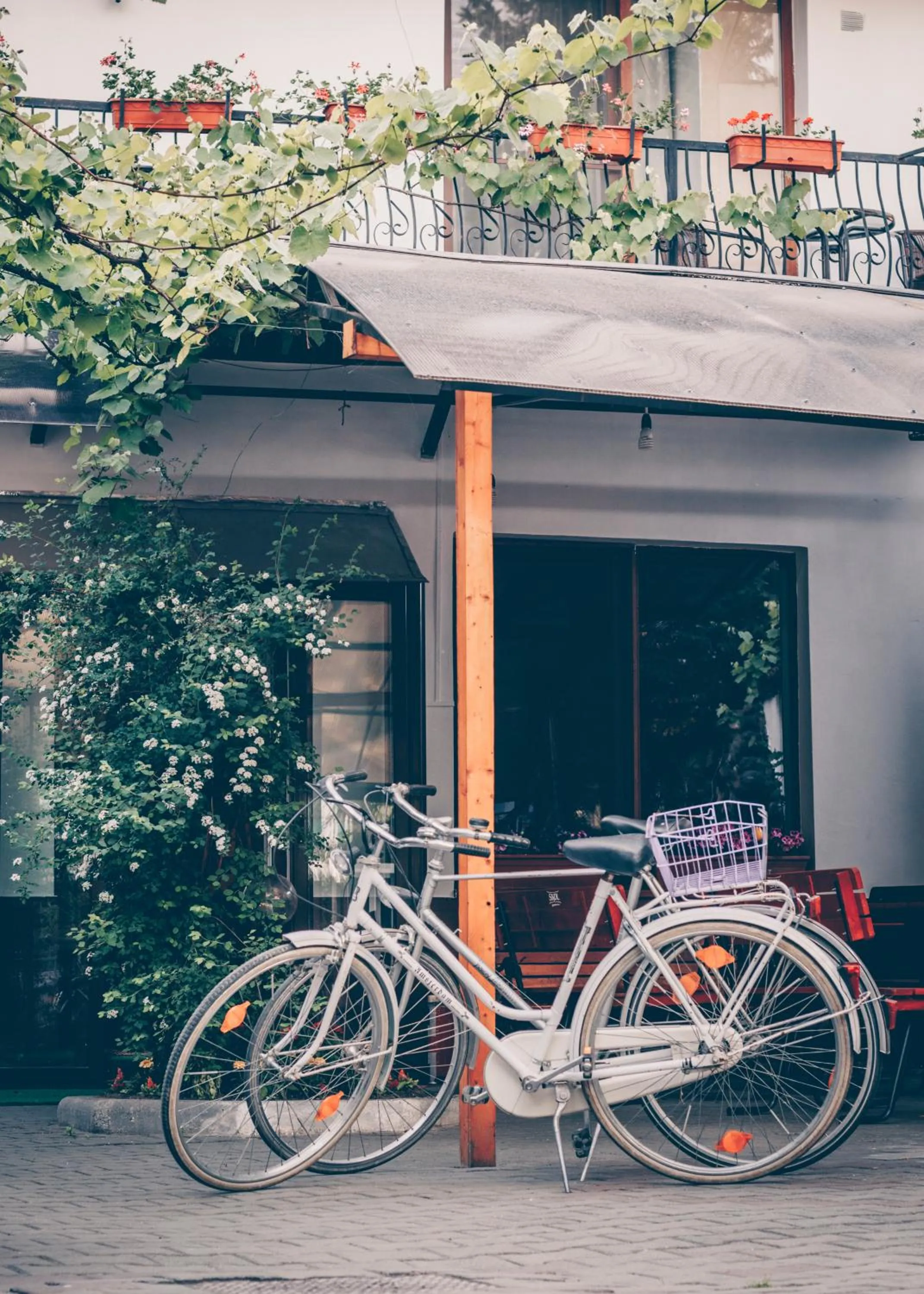 Patio in Gasthof Sara