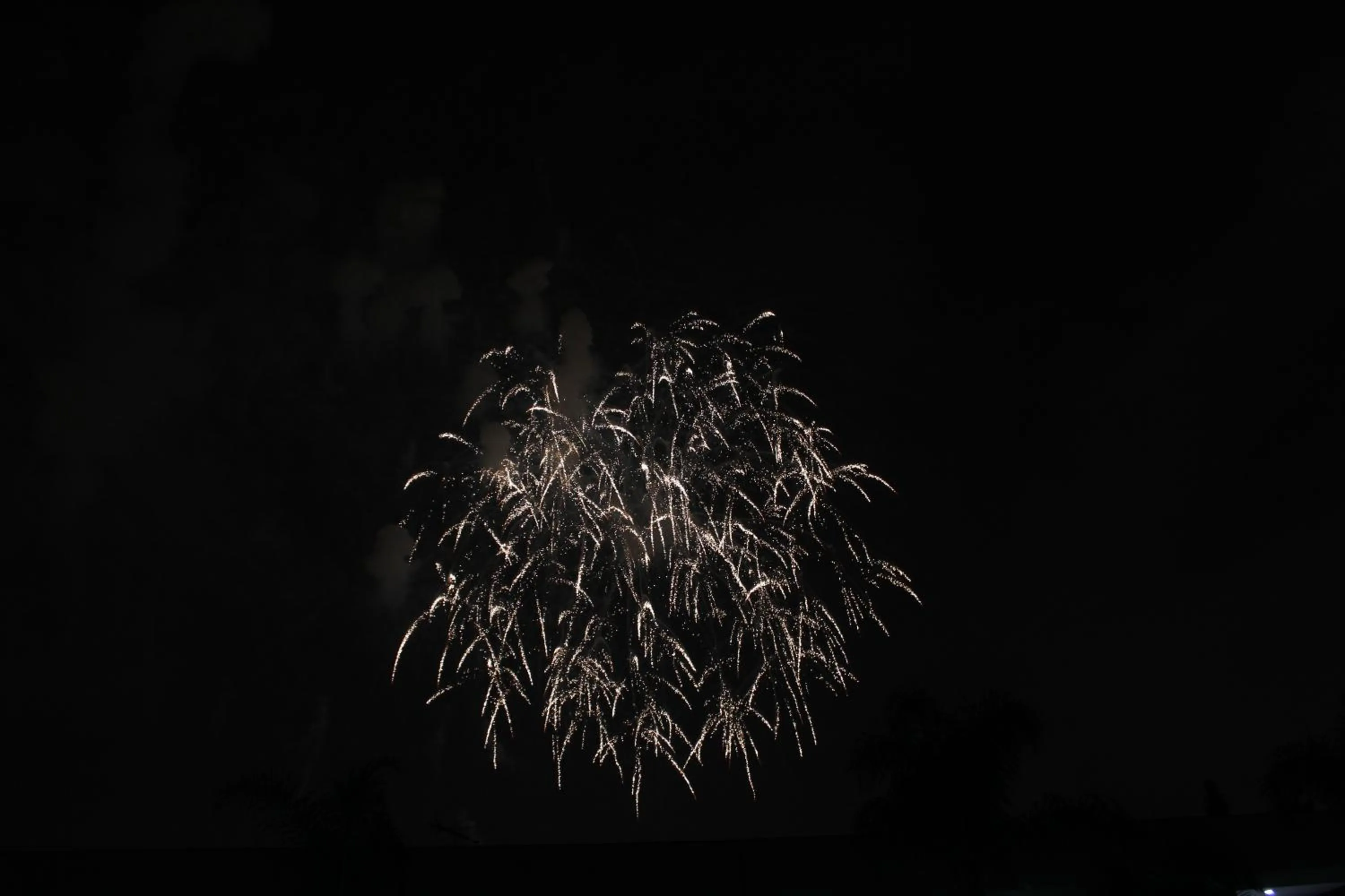 Nearby landmark in Budget Inn Anaheim near Disneyland Drive