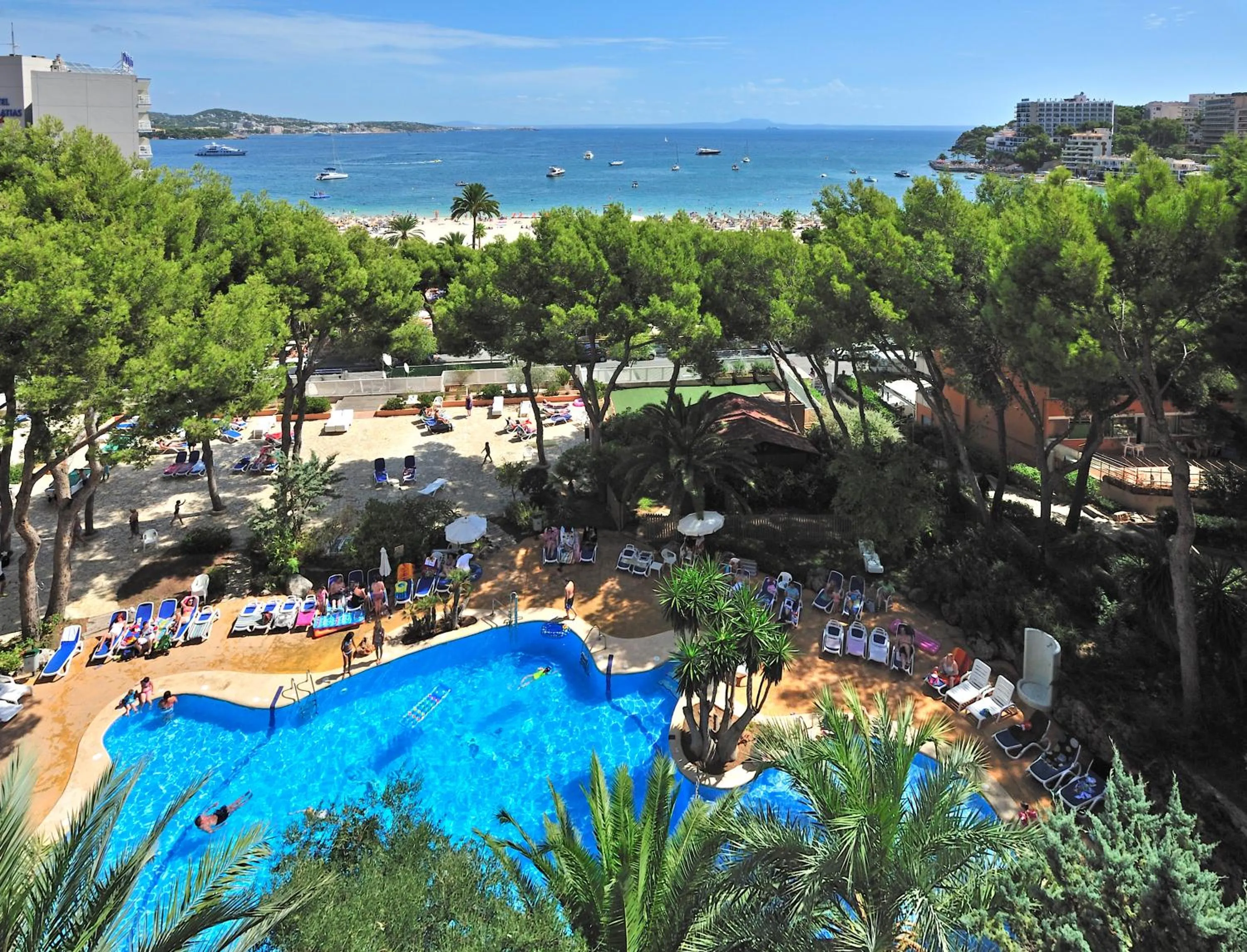 Beach in Globales Nova