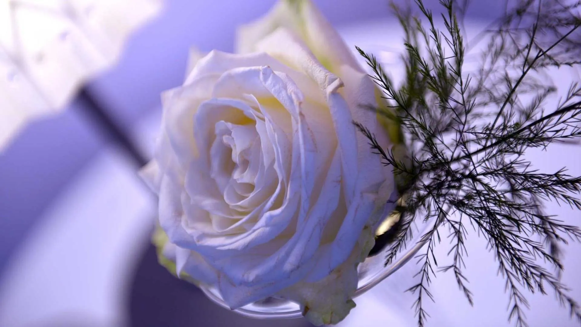 Decorative detail in La Locanda Francigena